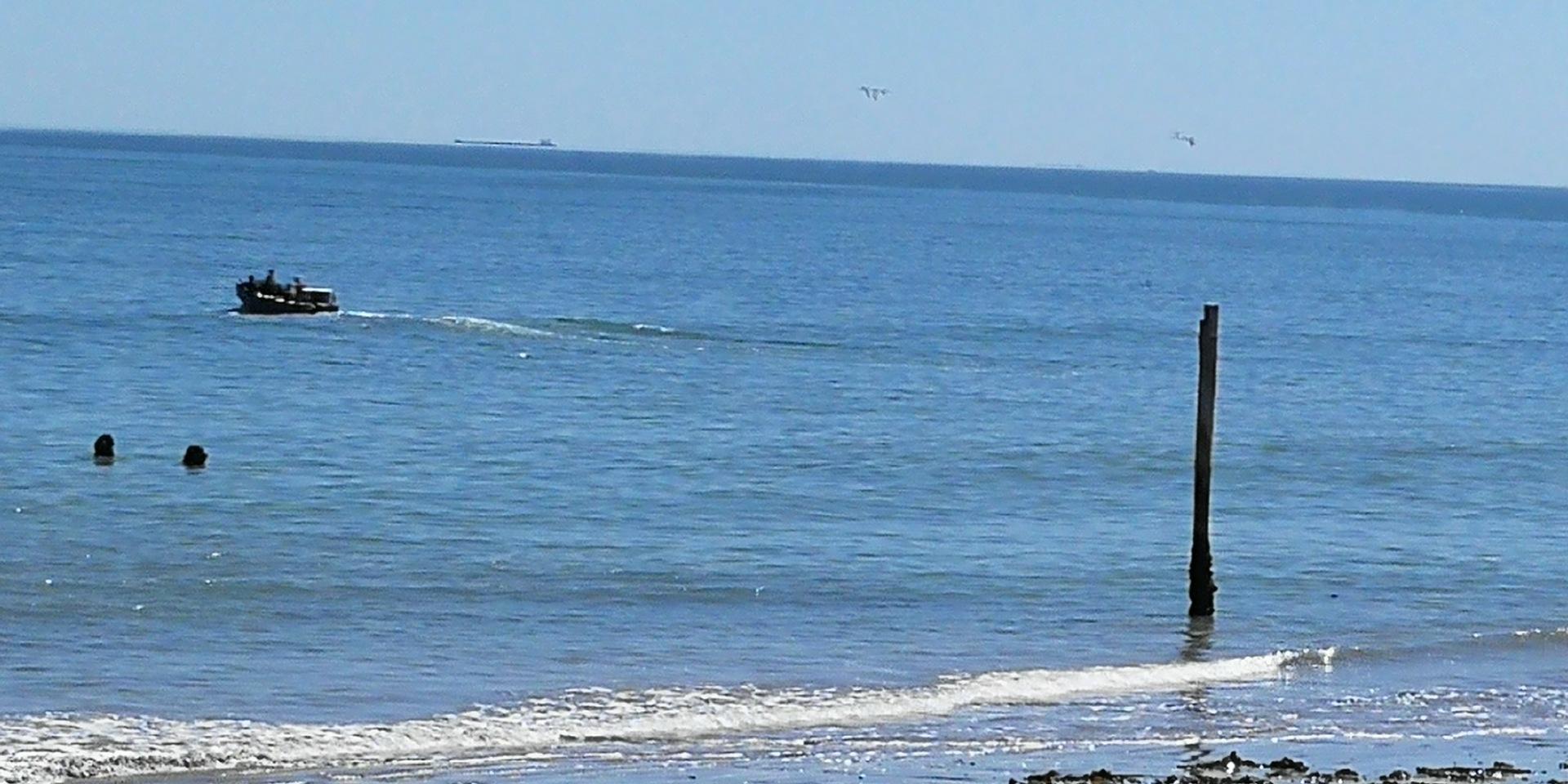 Image 3 of 6