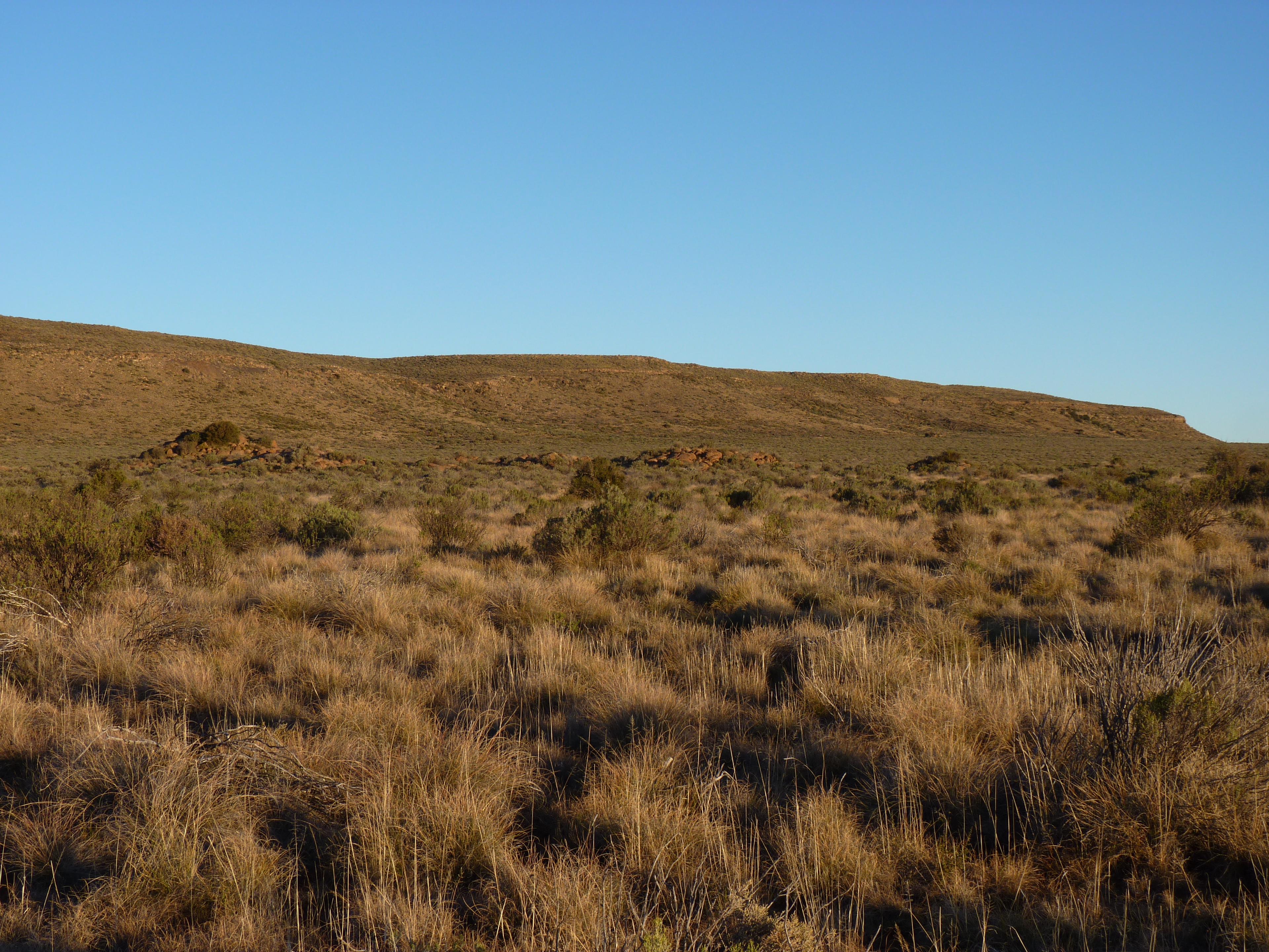 Image 65