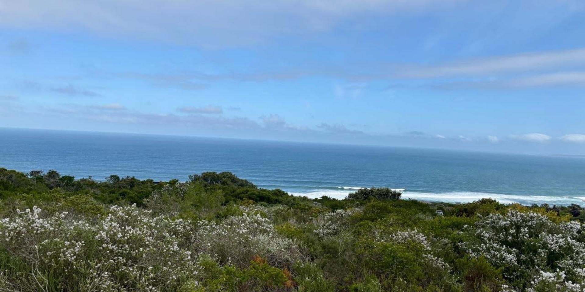 Image 4 of 6