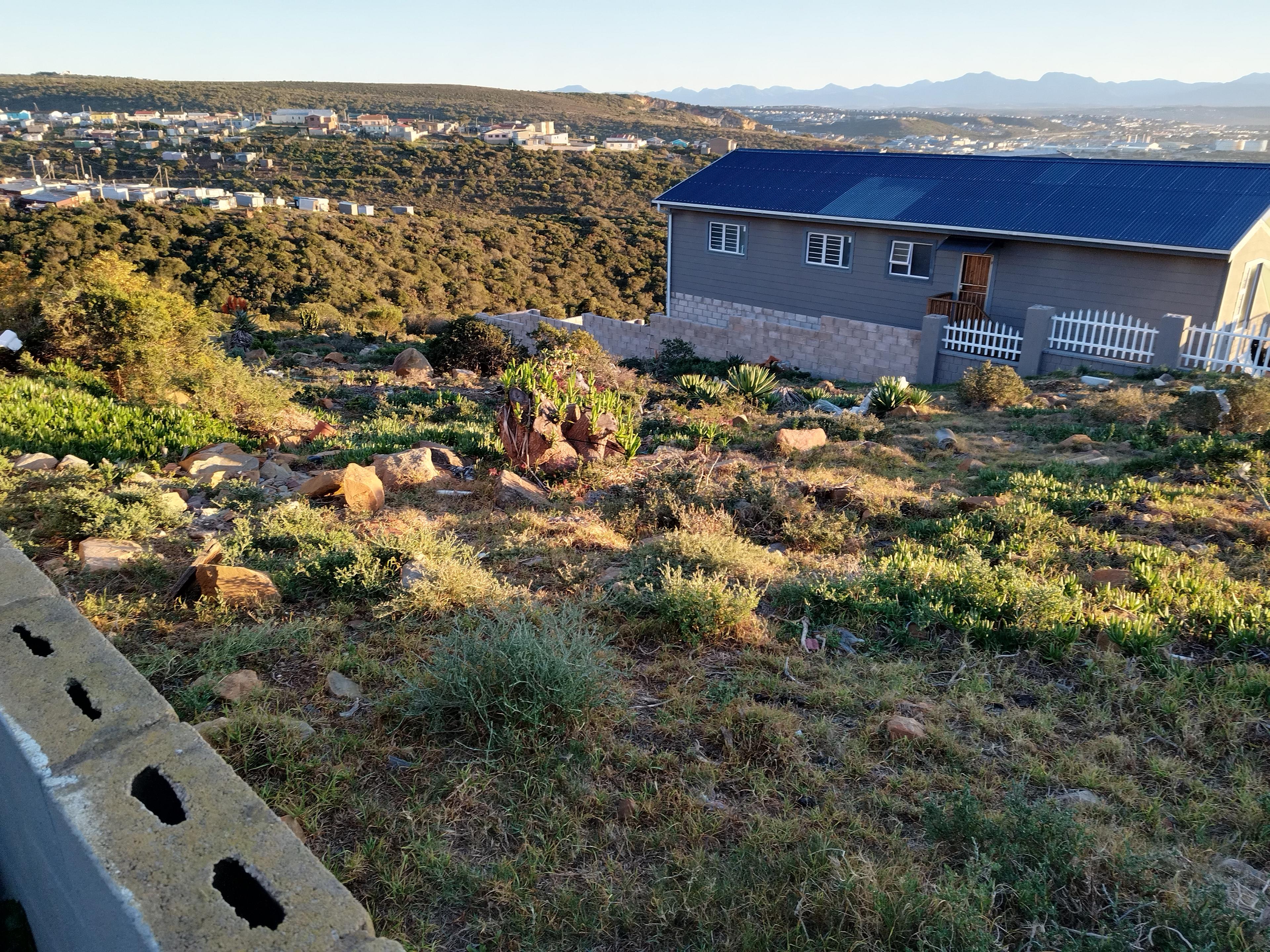Image 4 of 6