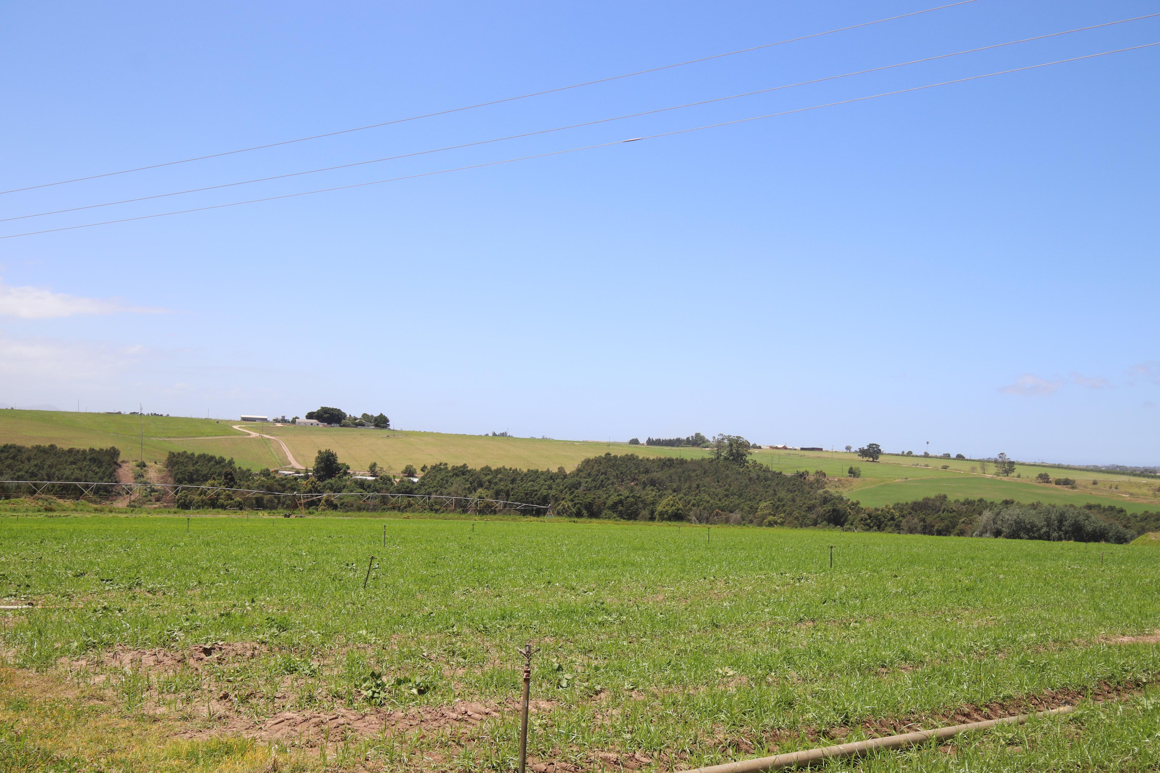 Image 15