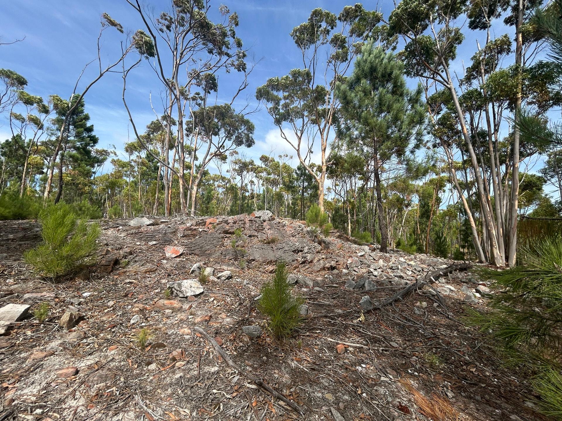 Image 19