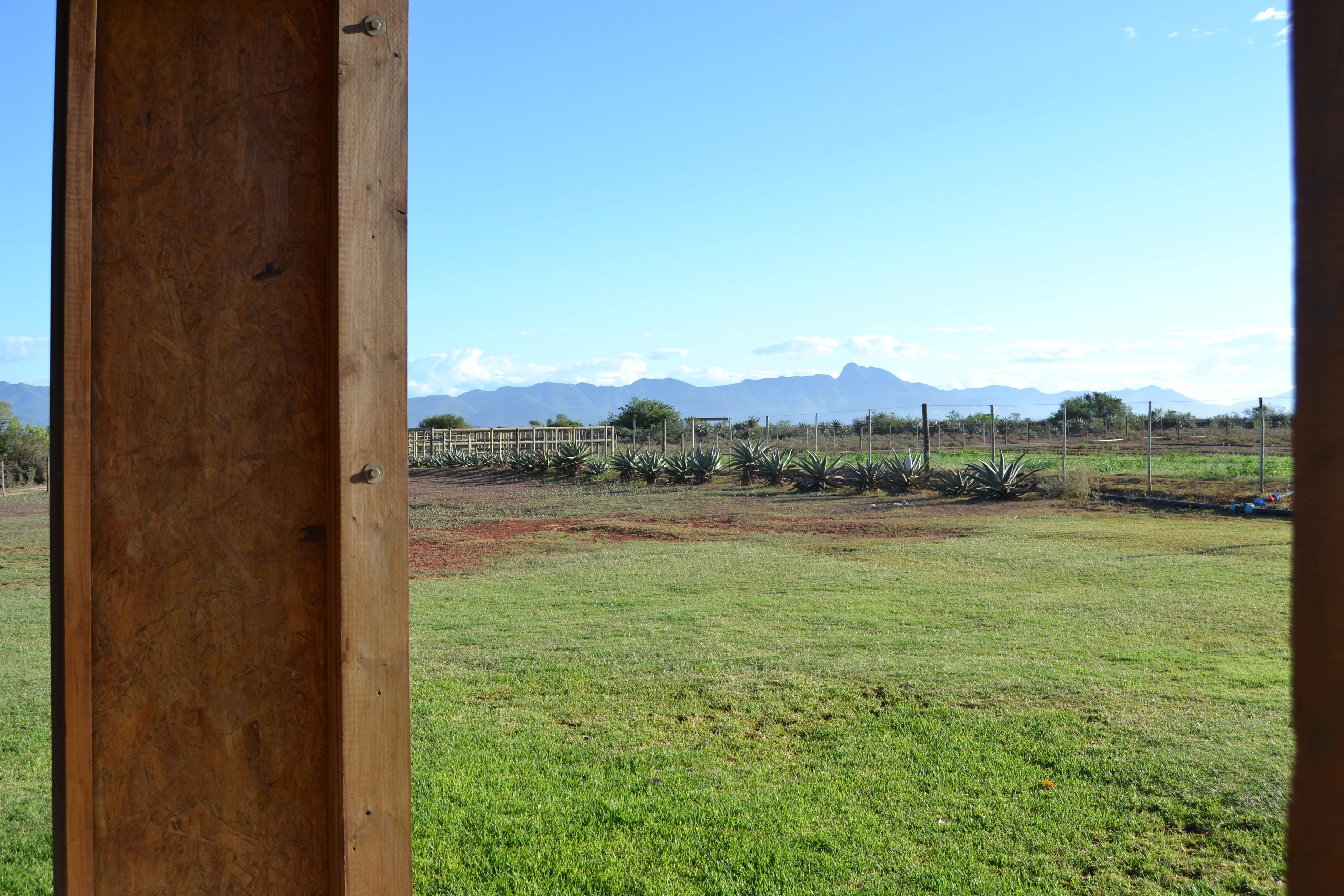 Image 35