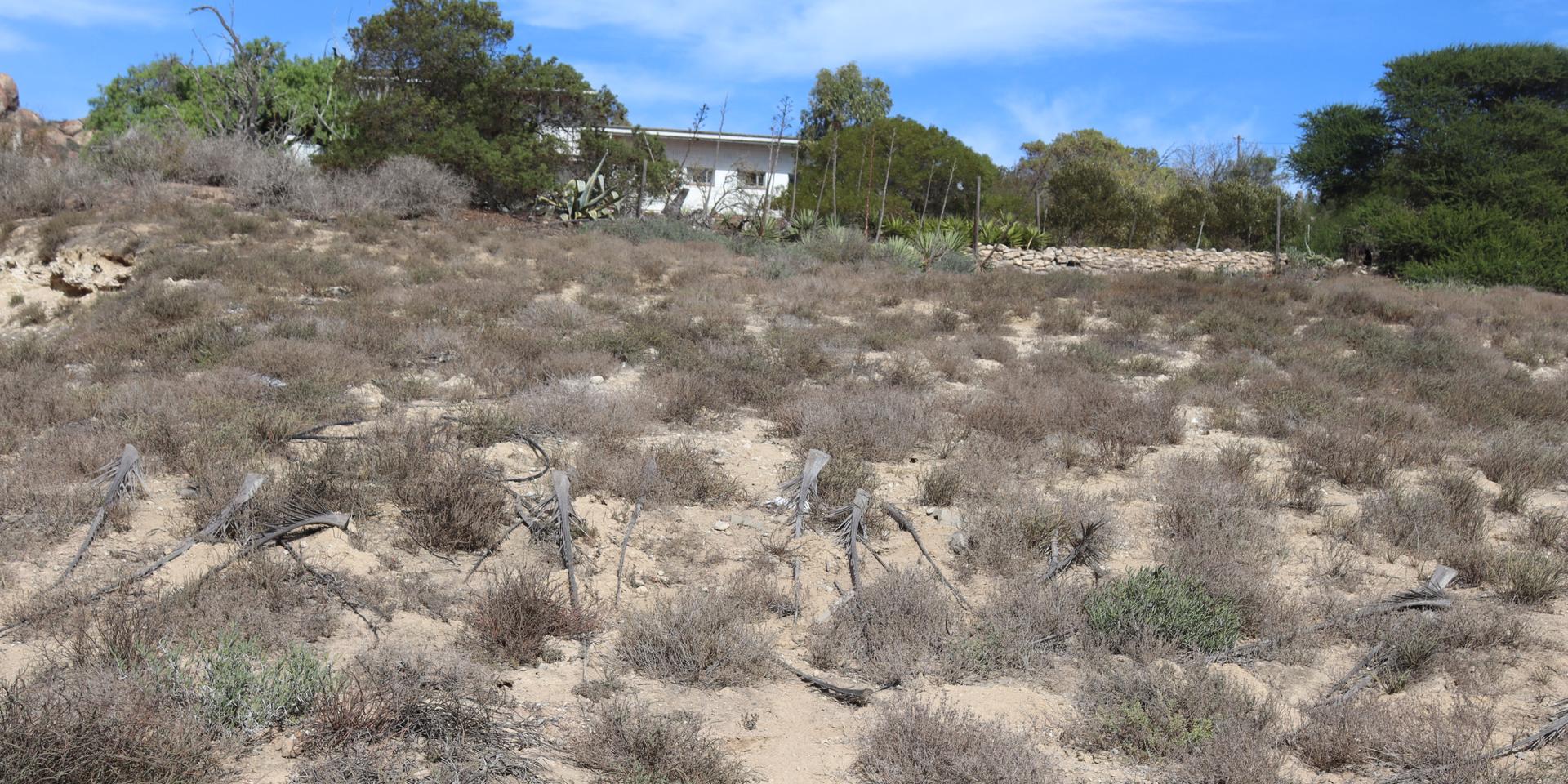 Image 4 of 6