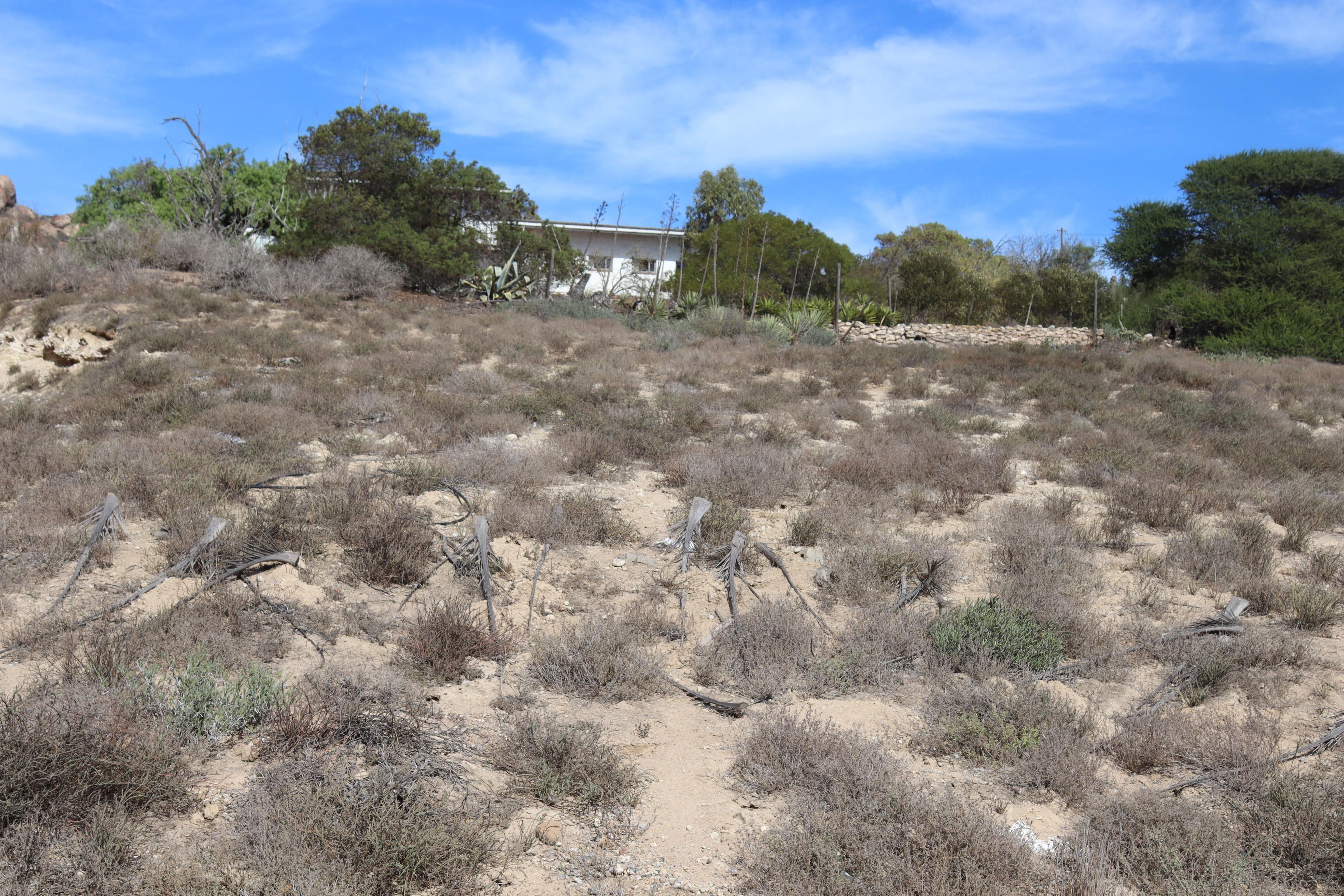 Image 4 of 6