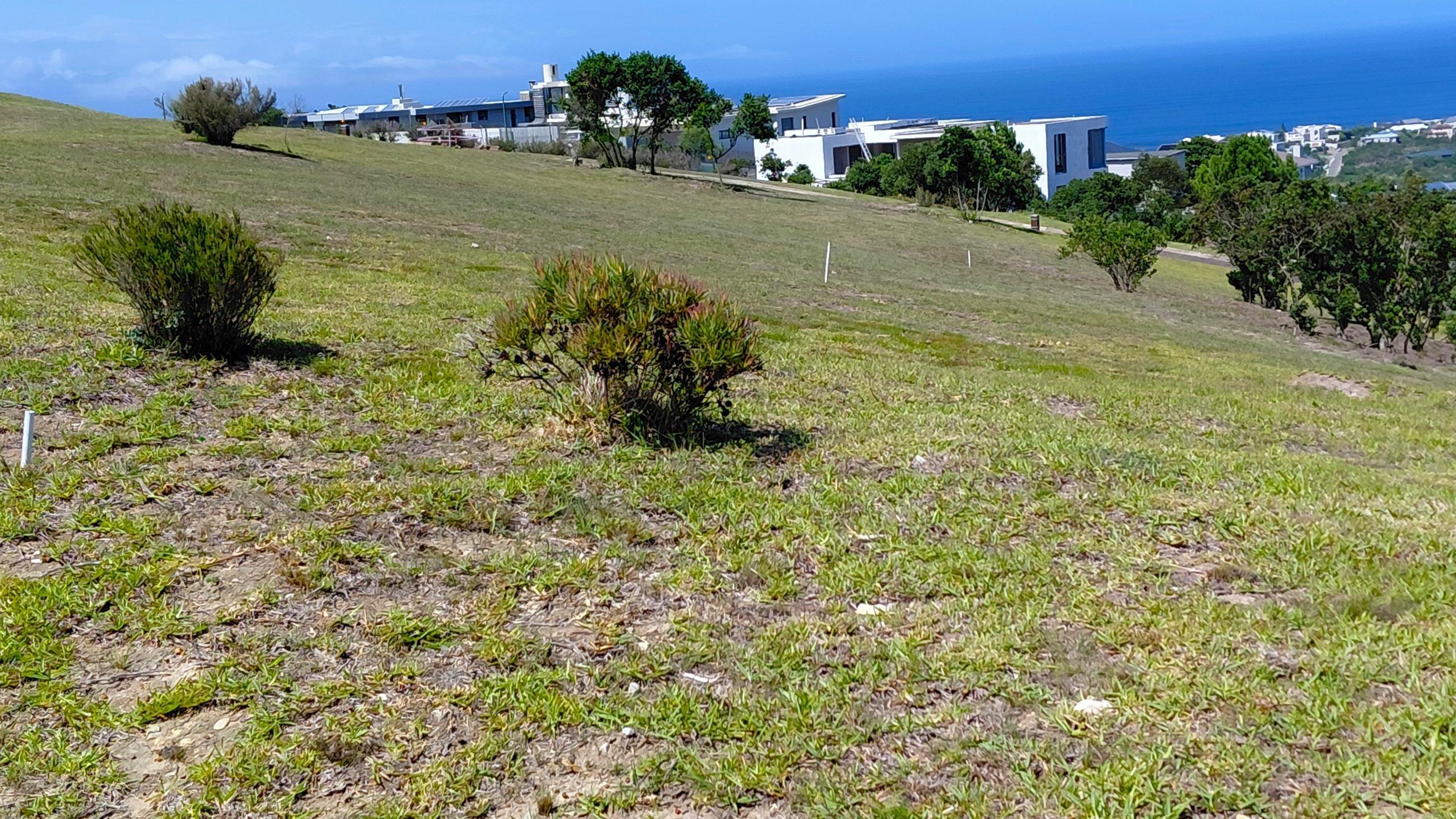 Image 4 of 6