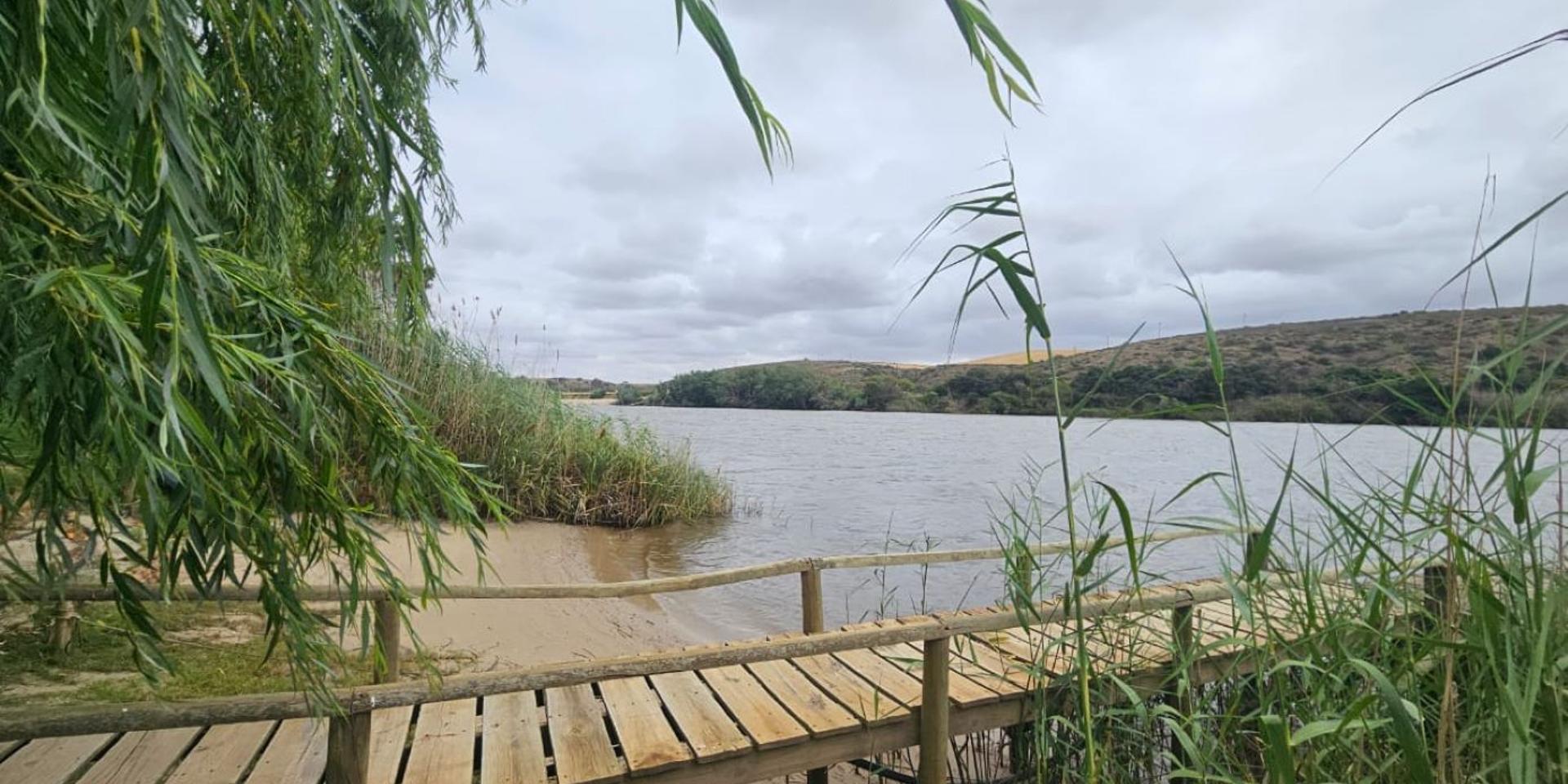 Image 4 of 6