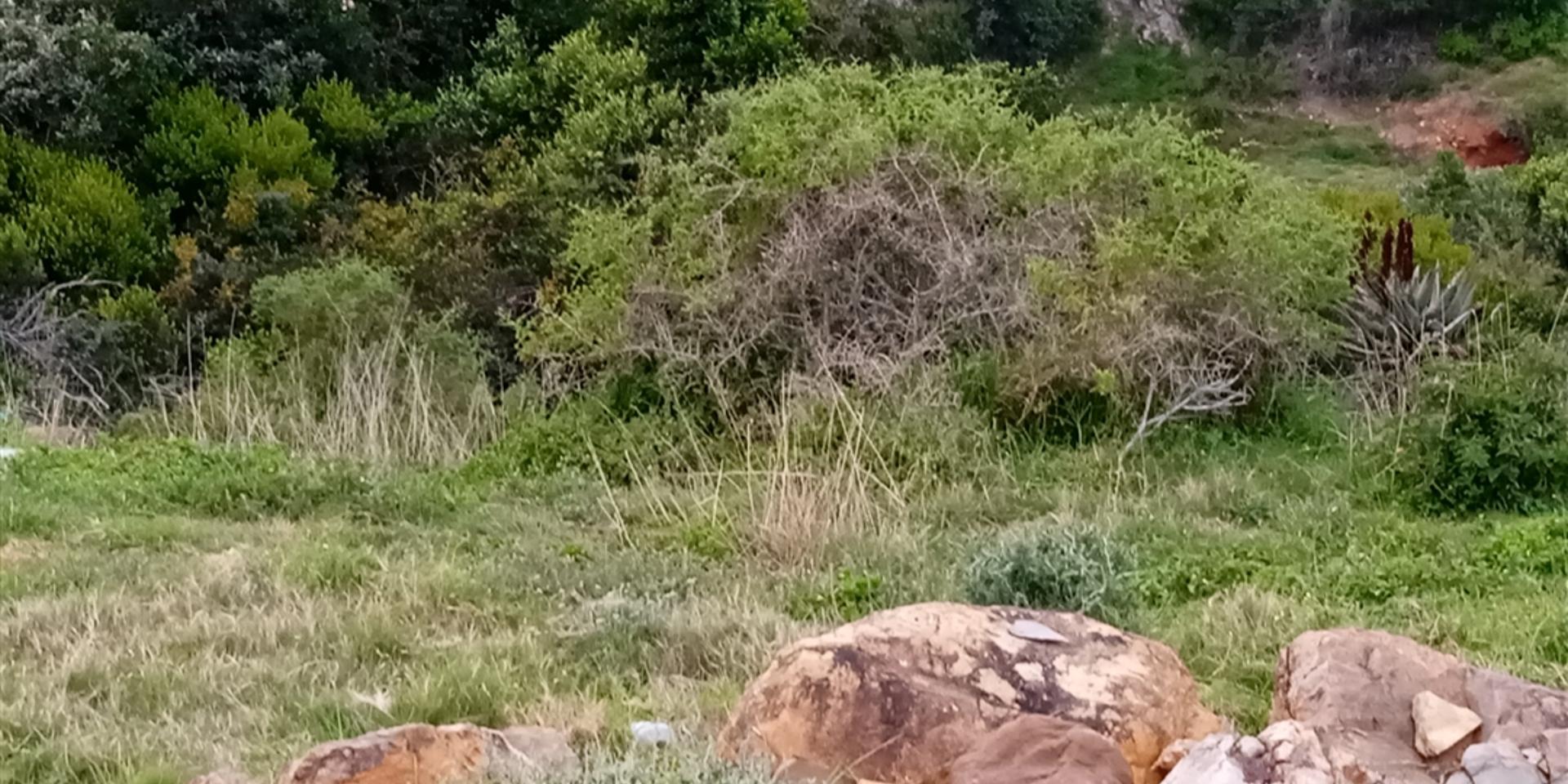 Image 4 of 6