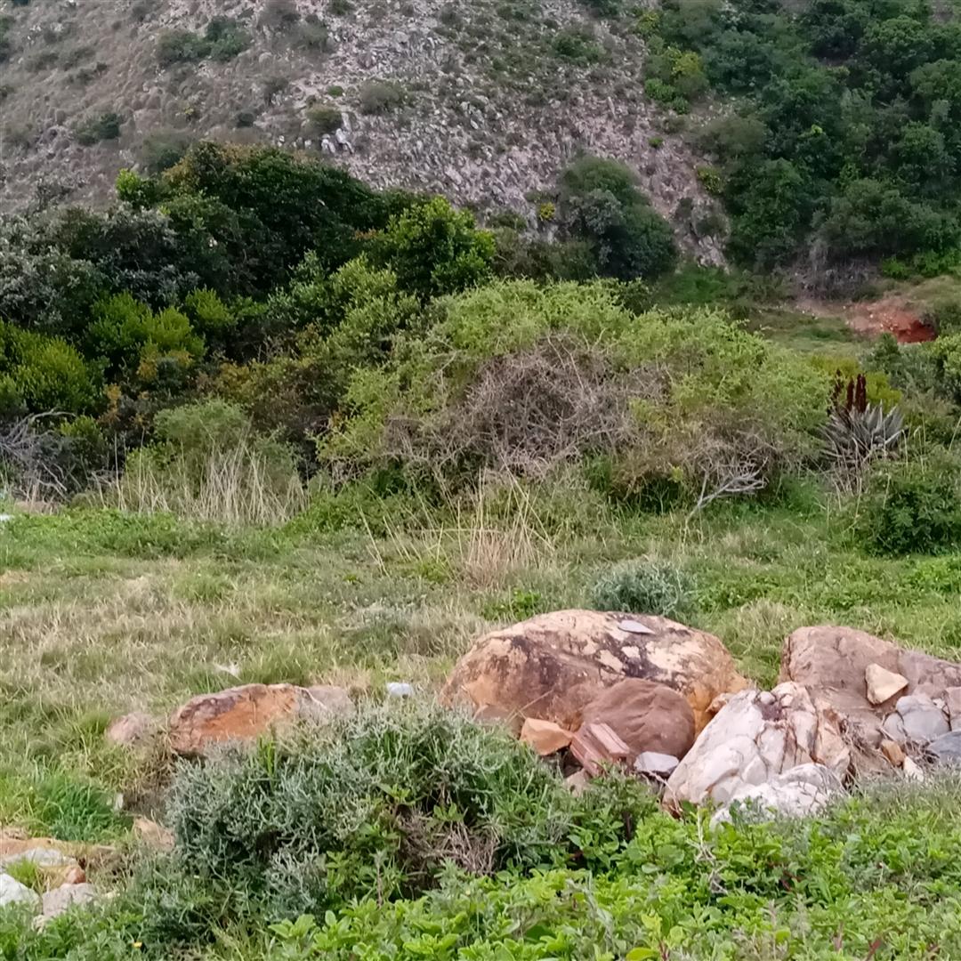 Image 4 of 6