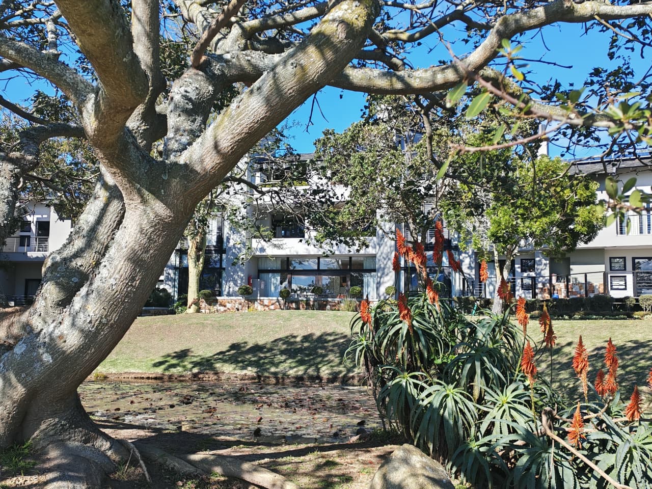 Image 4 of 6