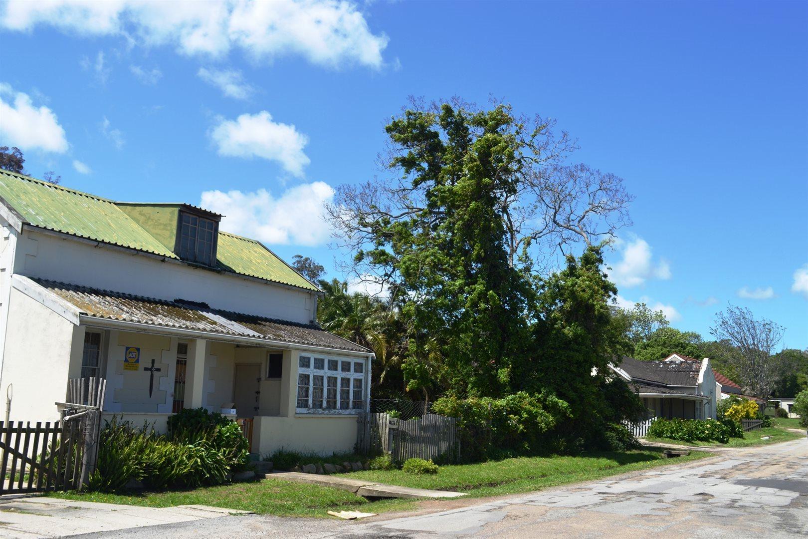 Image 14