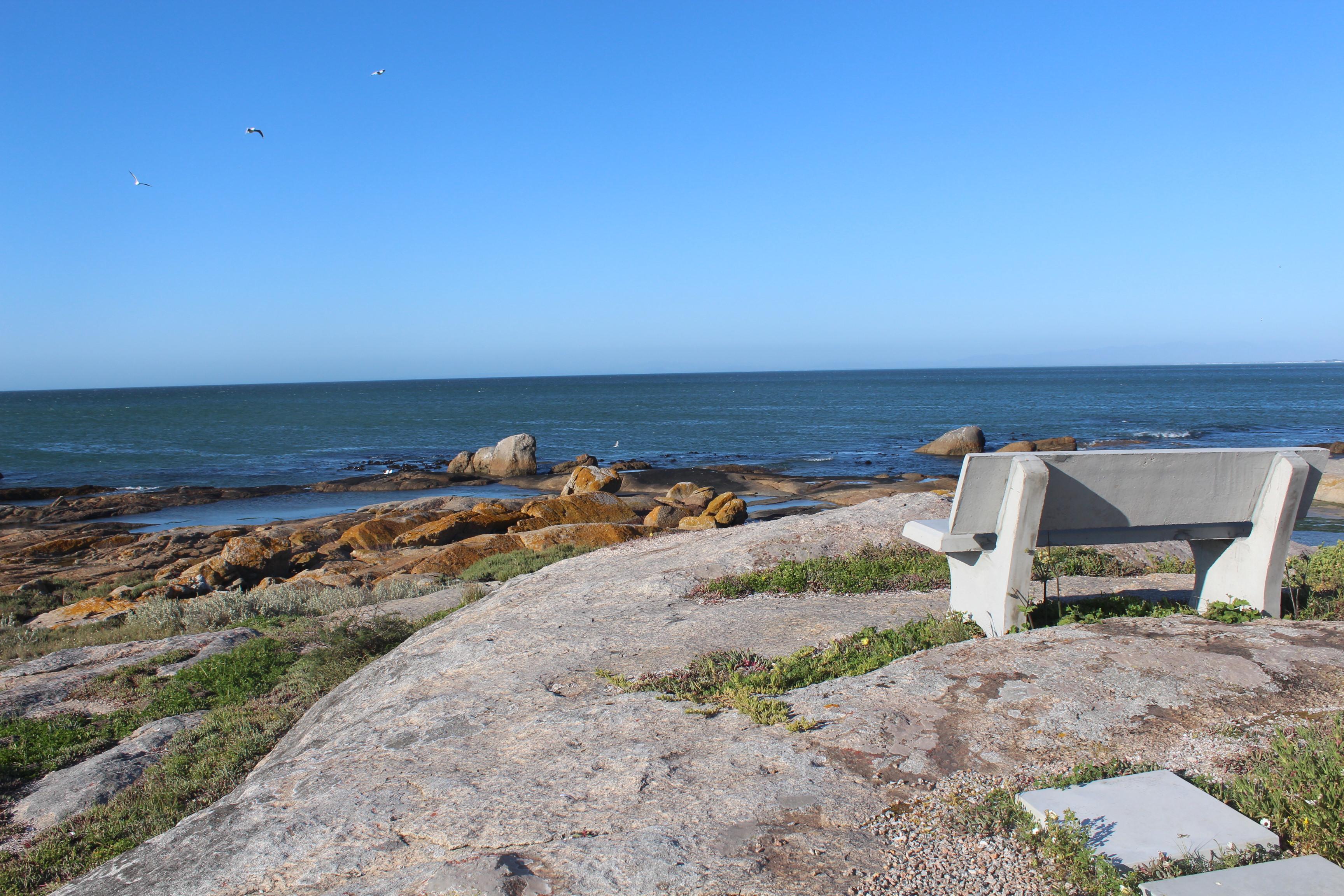 Image 37