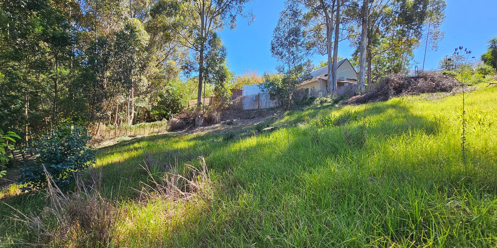 Image 5 of 6