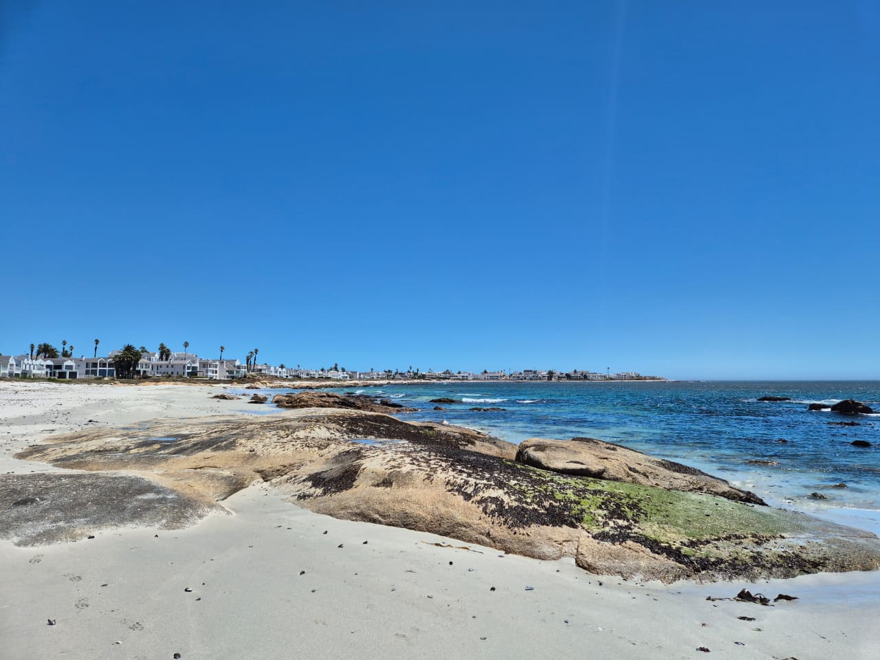 Image 4 of 6