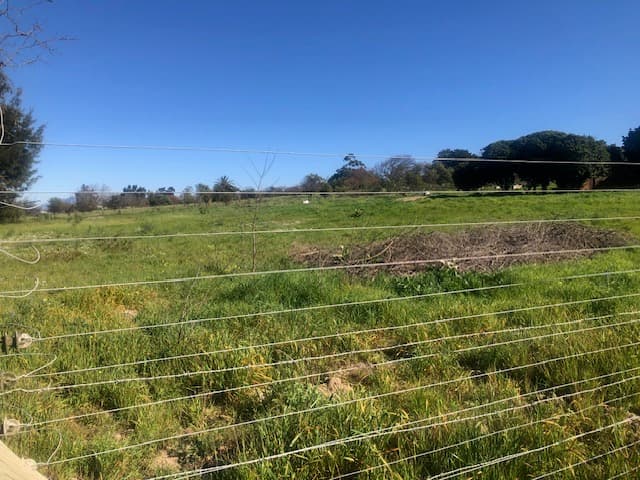 Image 2 of 6