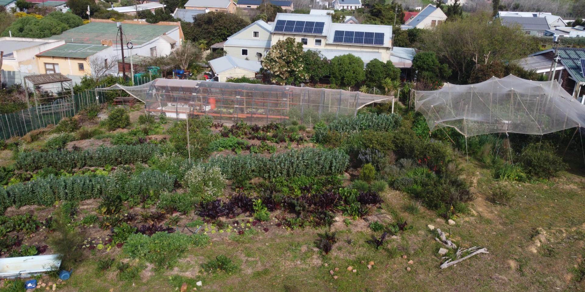 Image 4 of 6