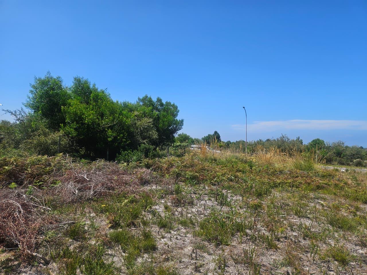 Image 3 of 6