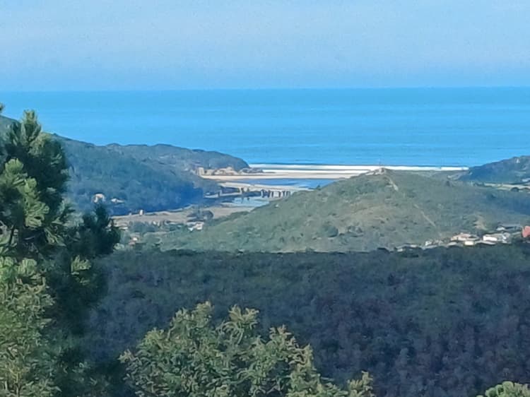Main property image