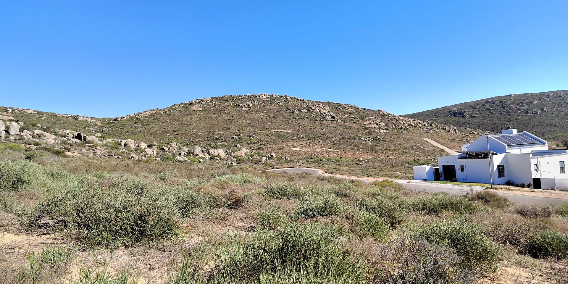 Image 3 of 6