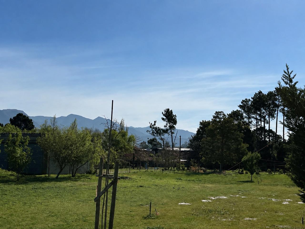 Image 4 of 6