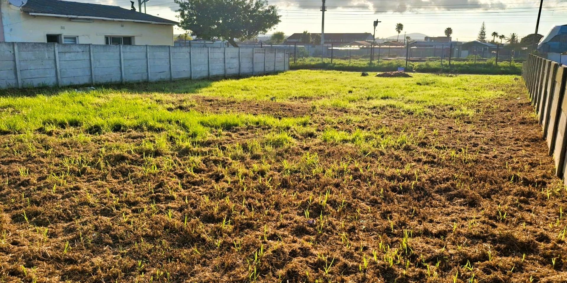 Image 4 of 6