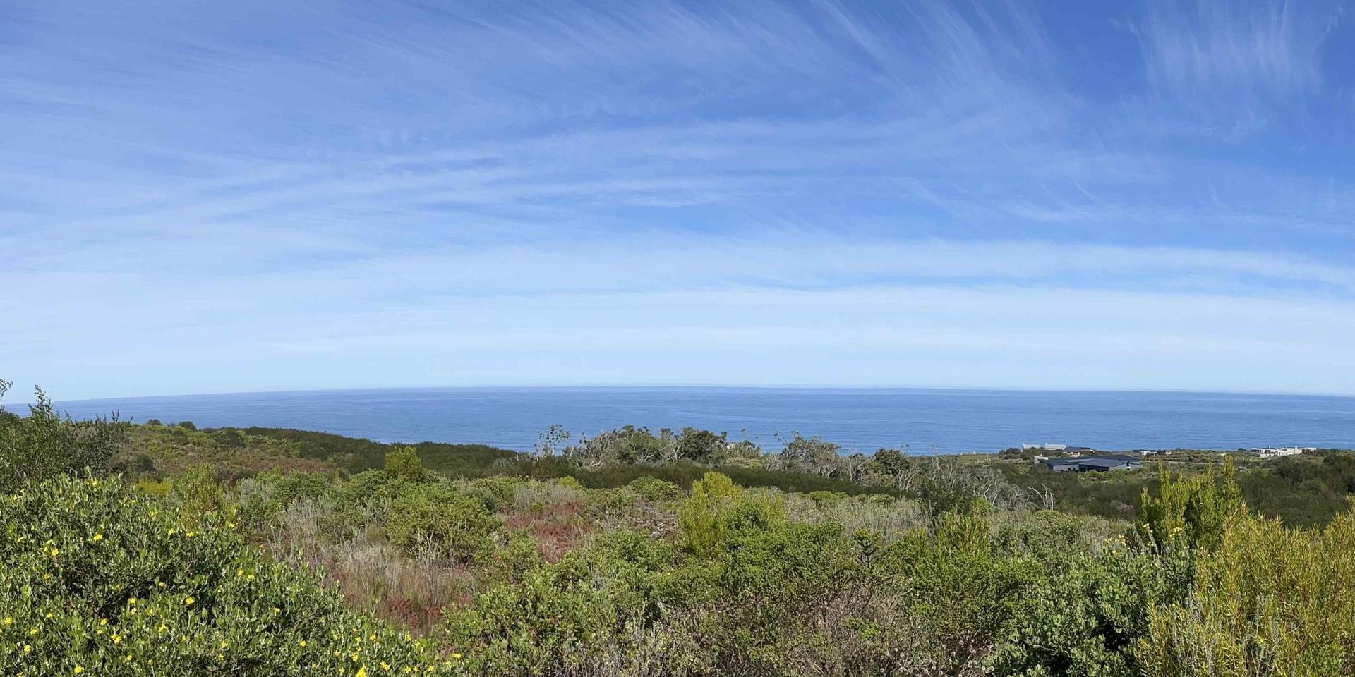 Image 2 of 6
