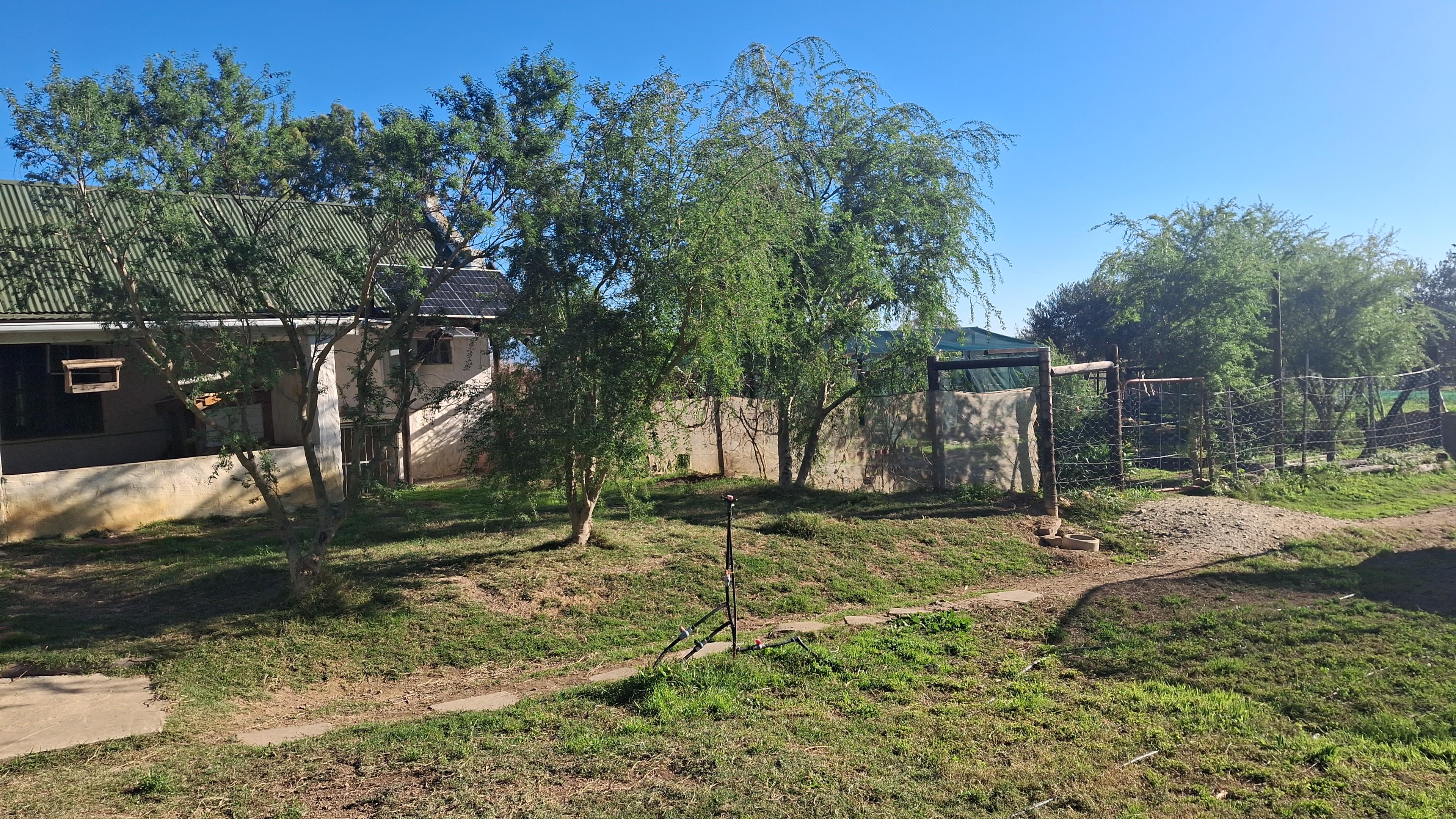 Image 2 of 6