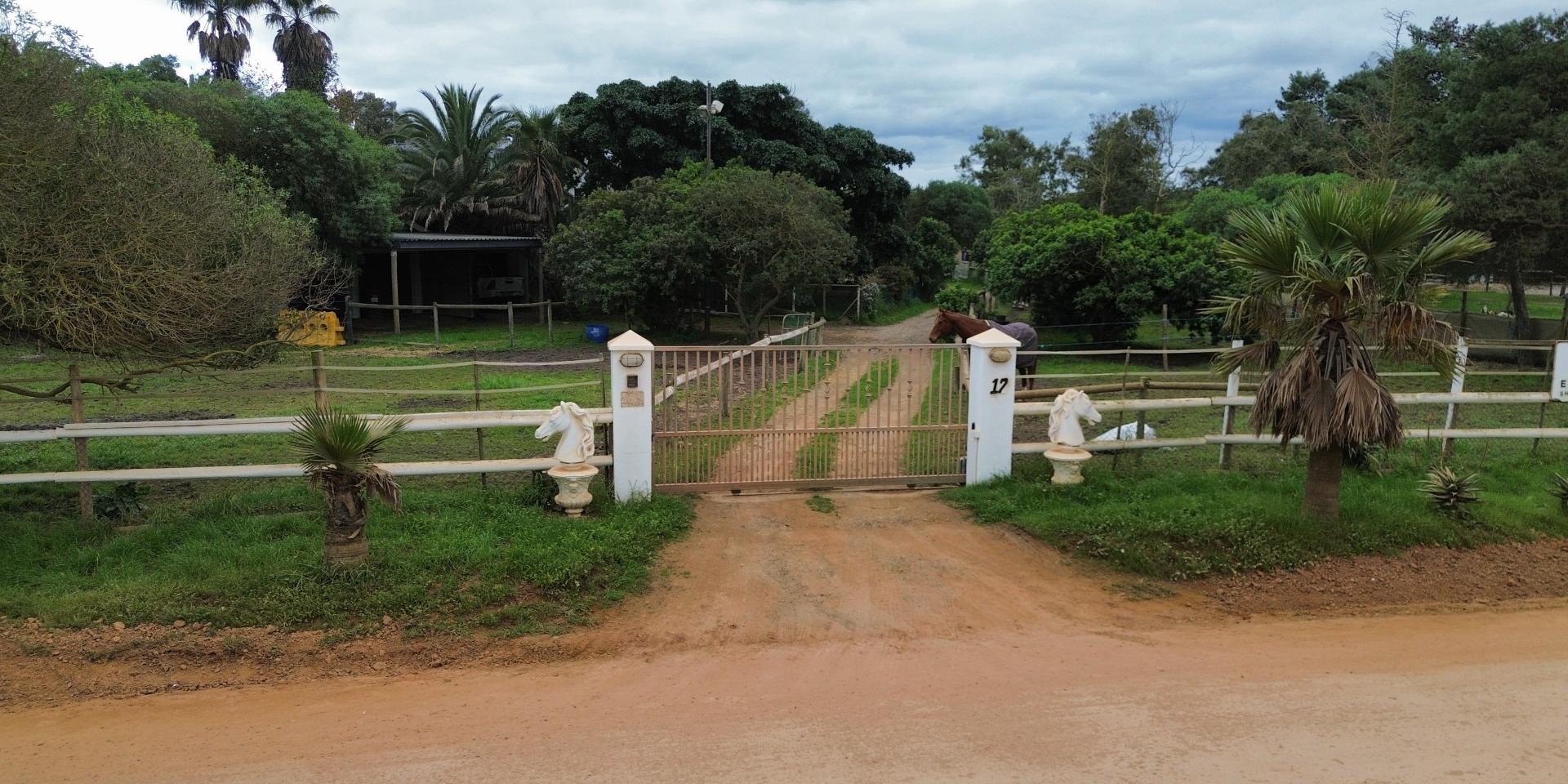 Image 4 of 6