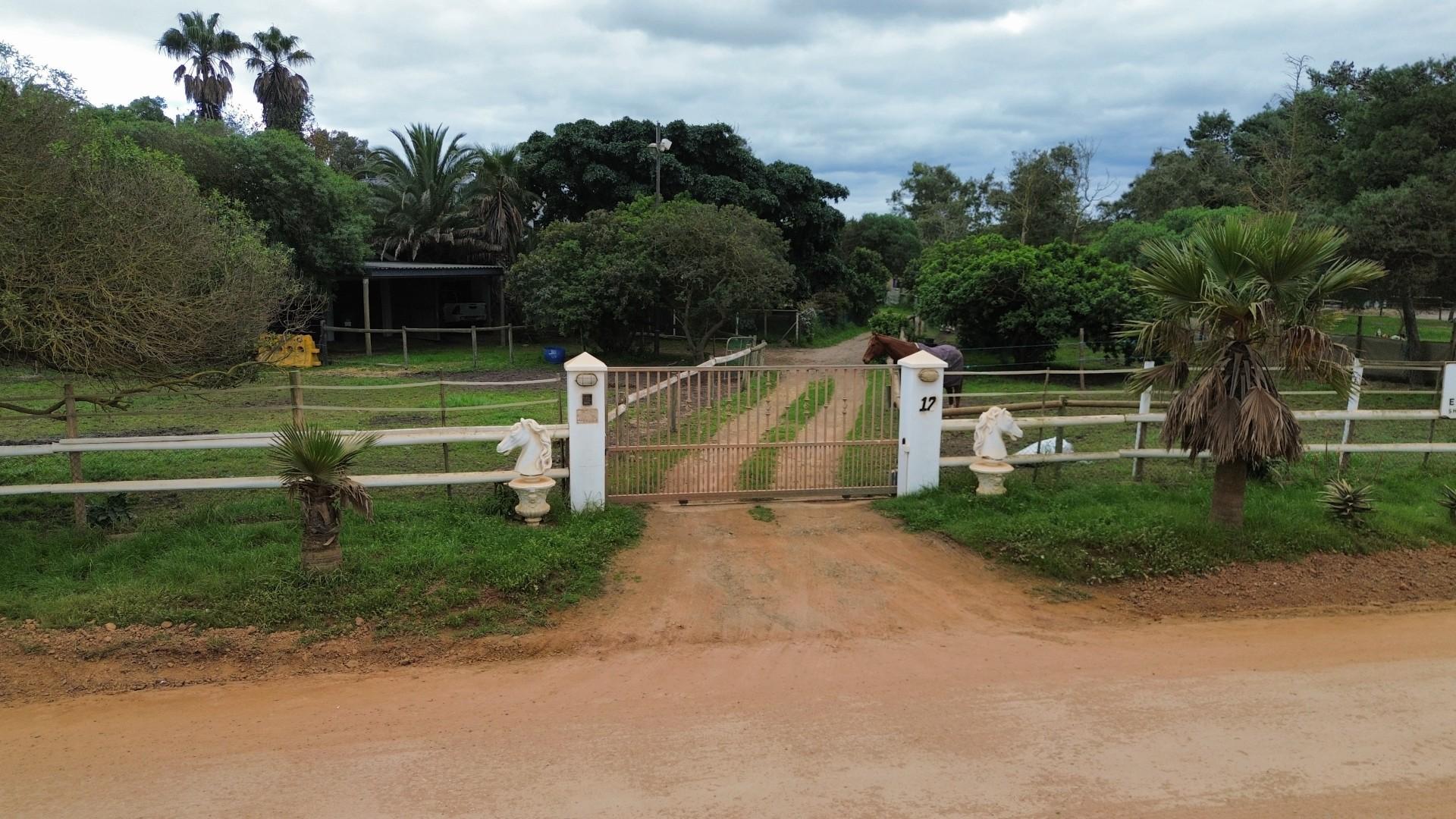 Image 4 of 6