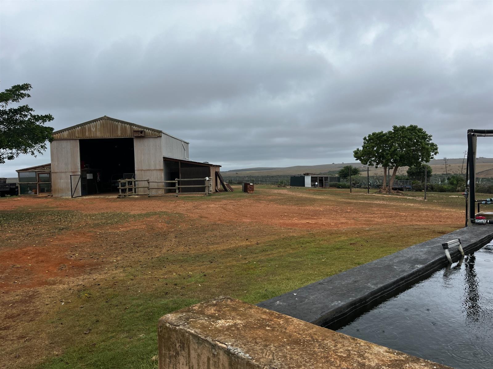 Image 4 of 6