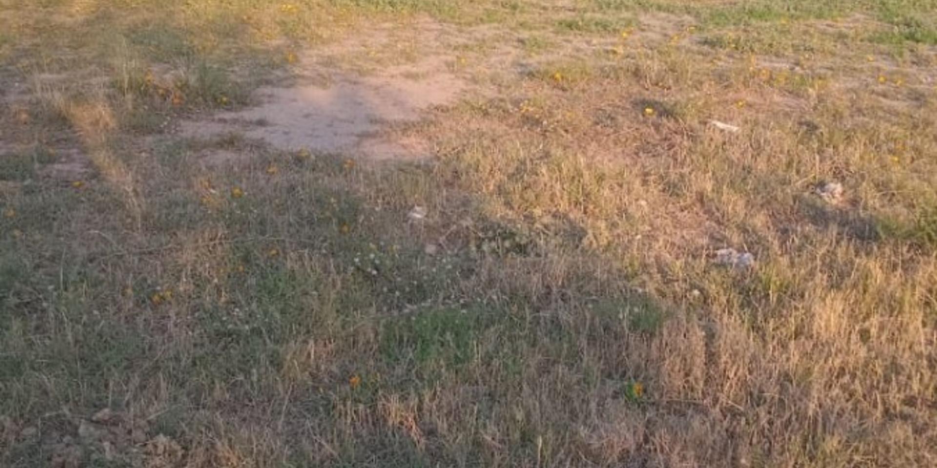 Image 2 of 6