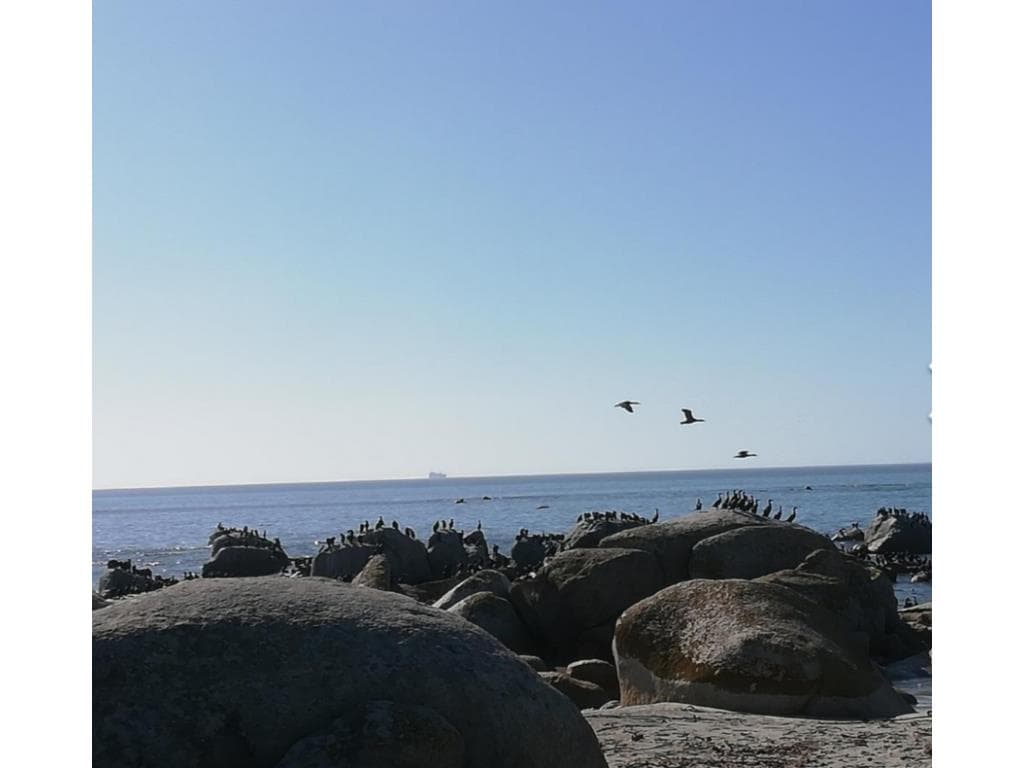 Image 16