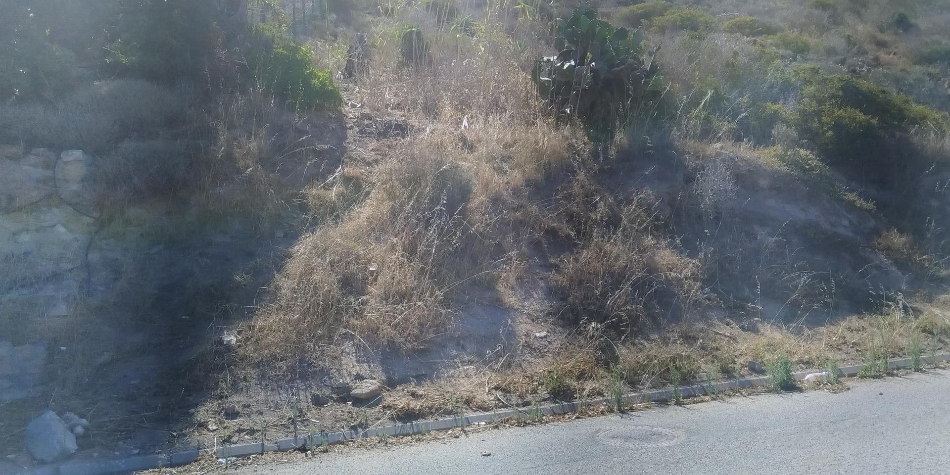 Image 2 of 6