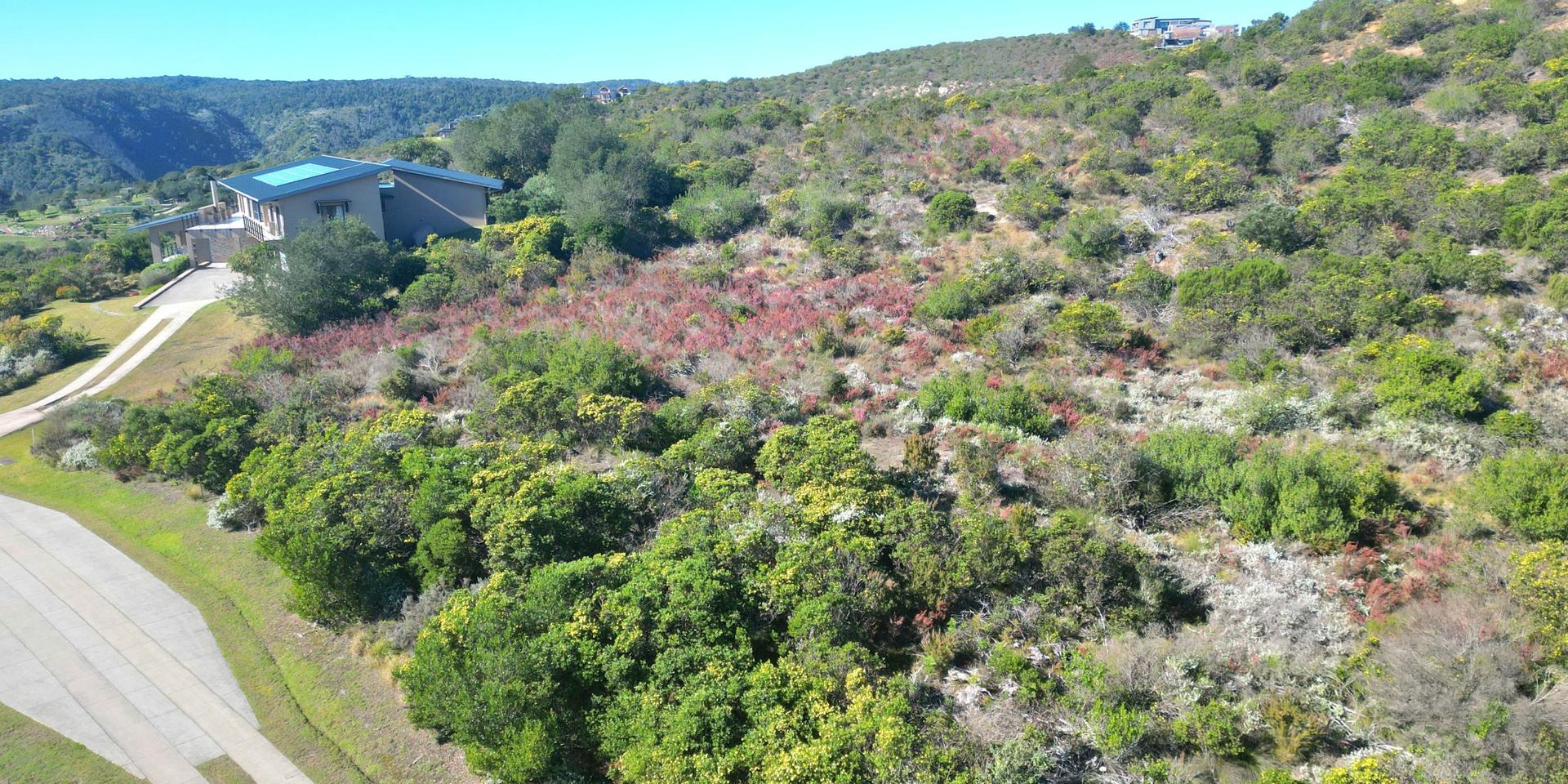 Image 4 of 6