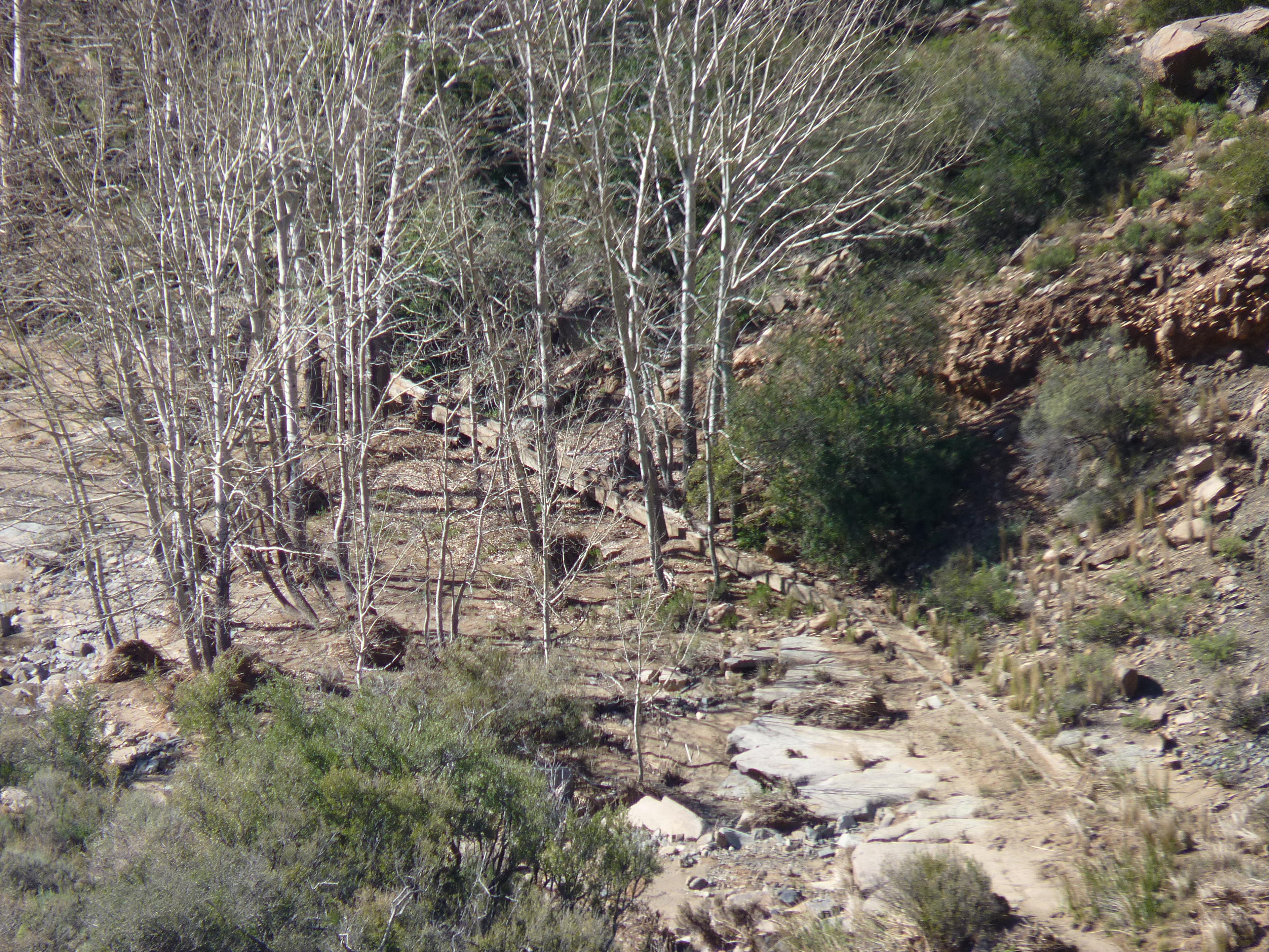 Image 33