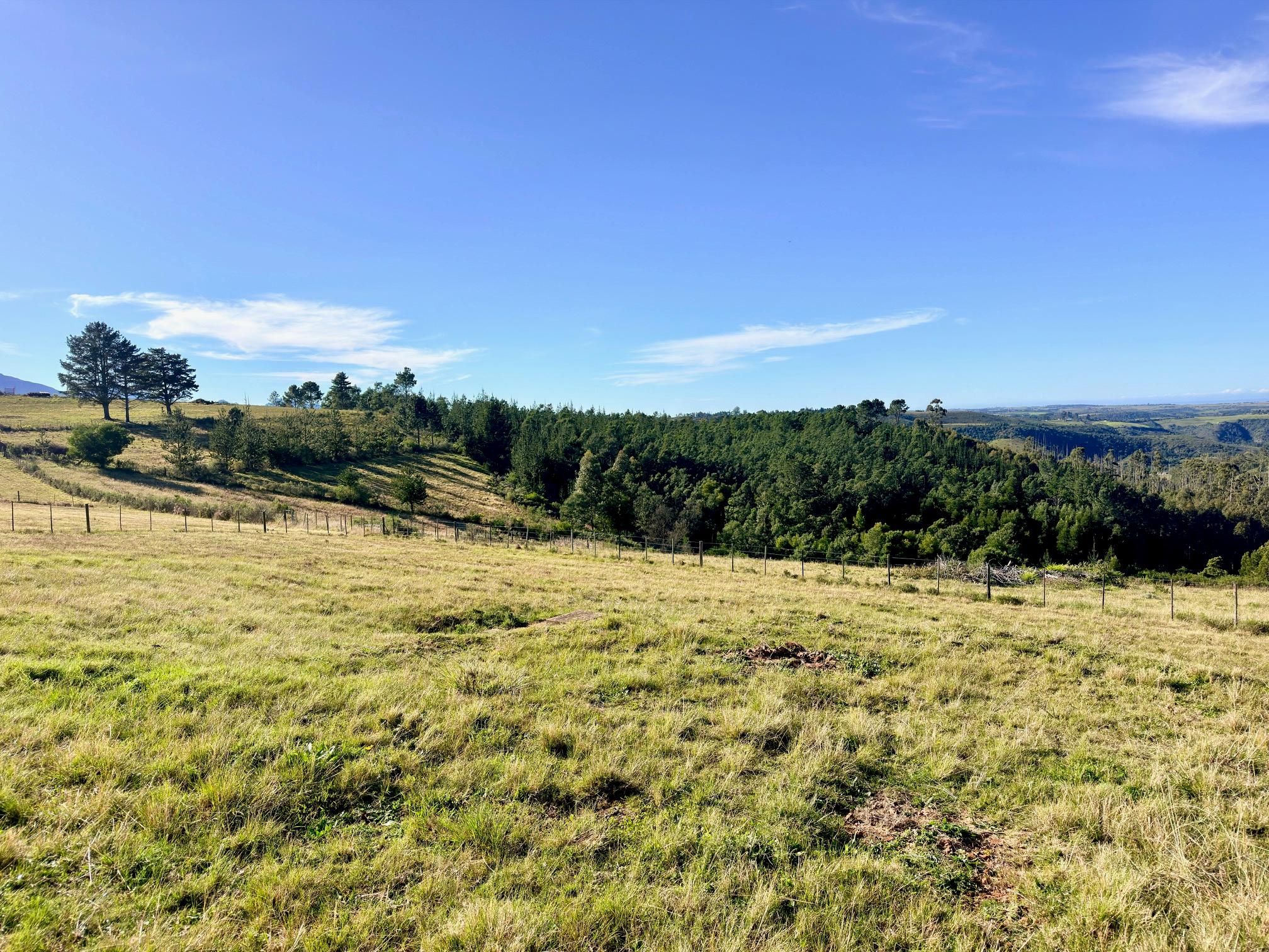 Image 4 of 6