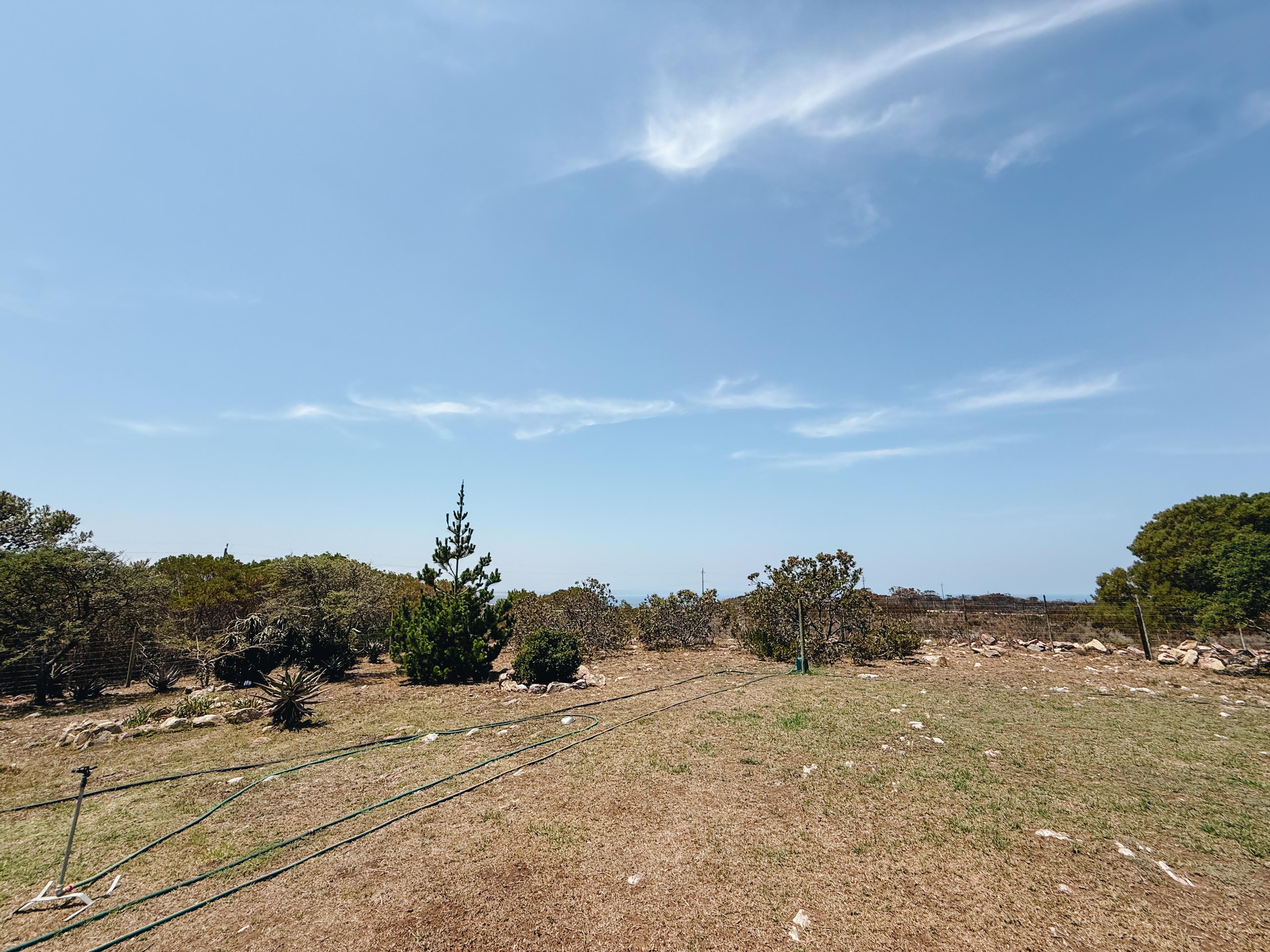 Image 41