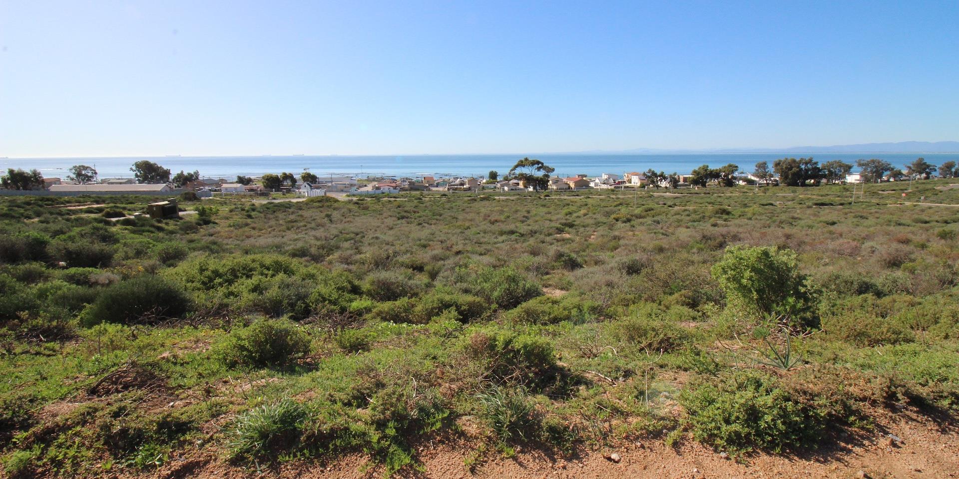 Image 4 of 6