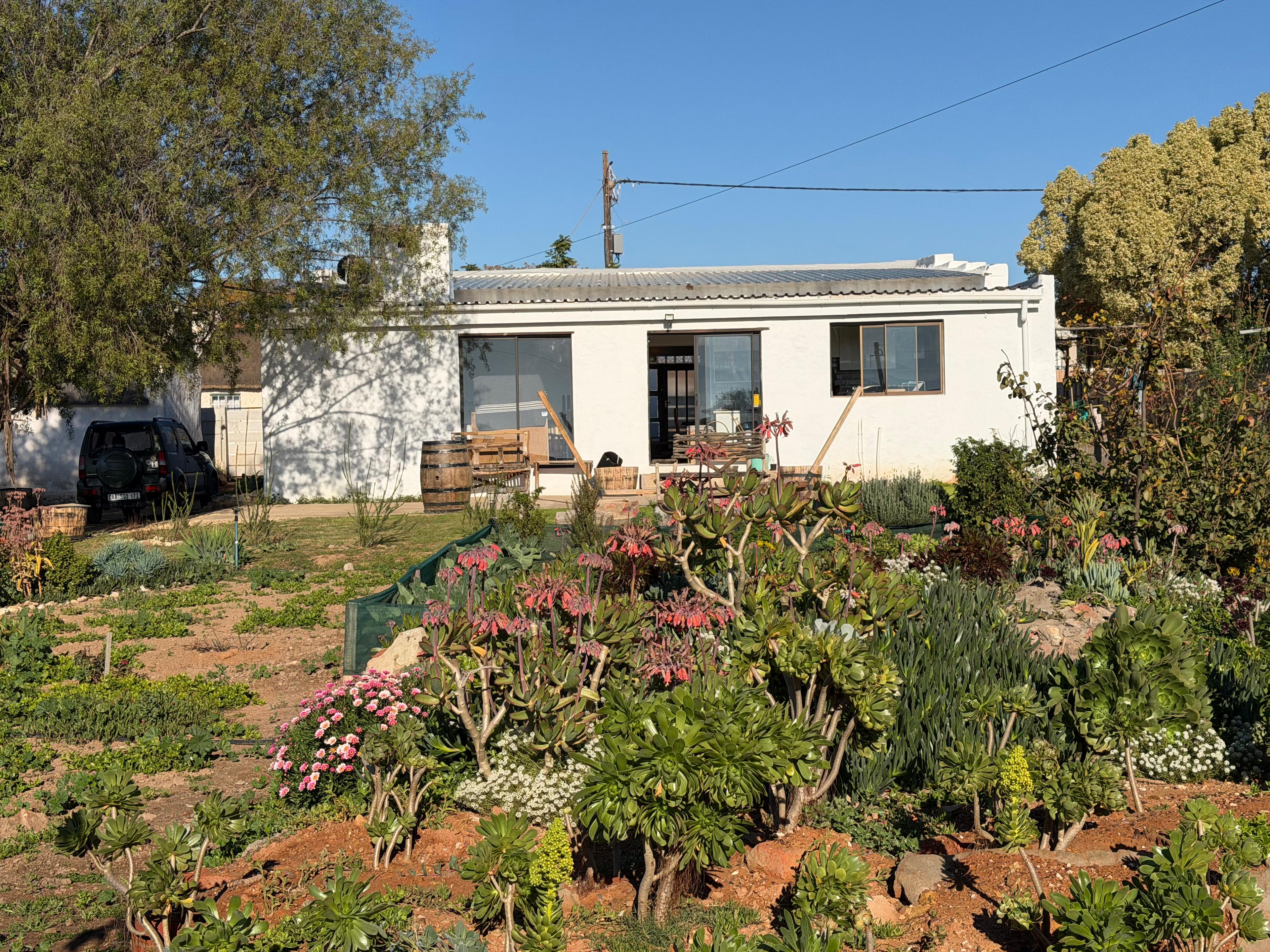 Image 37
