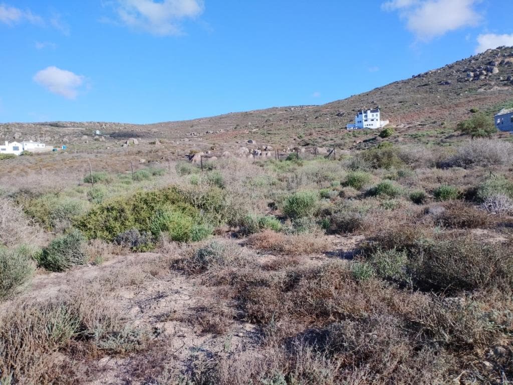 Image 4 of 6