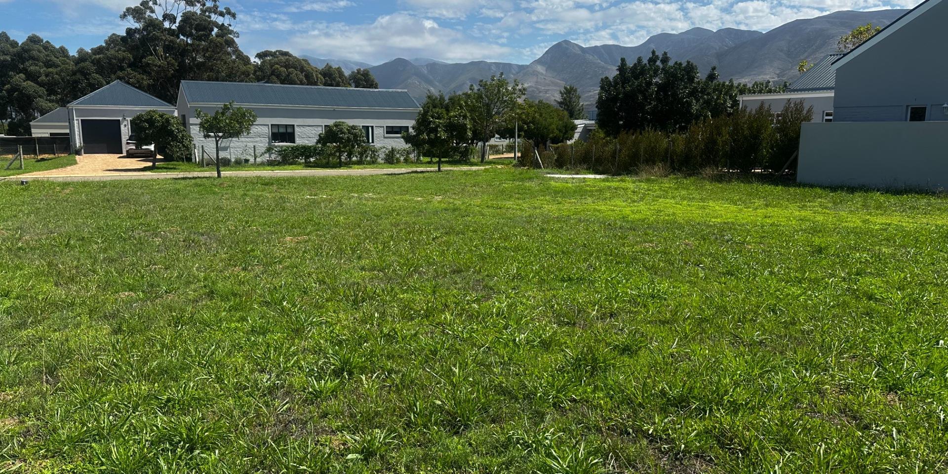 Image 4 of 6