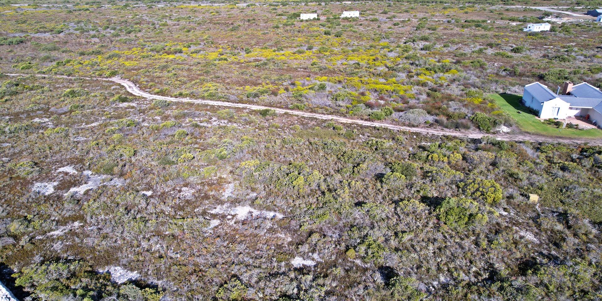 Image 4 of 6