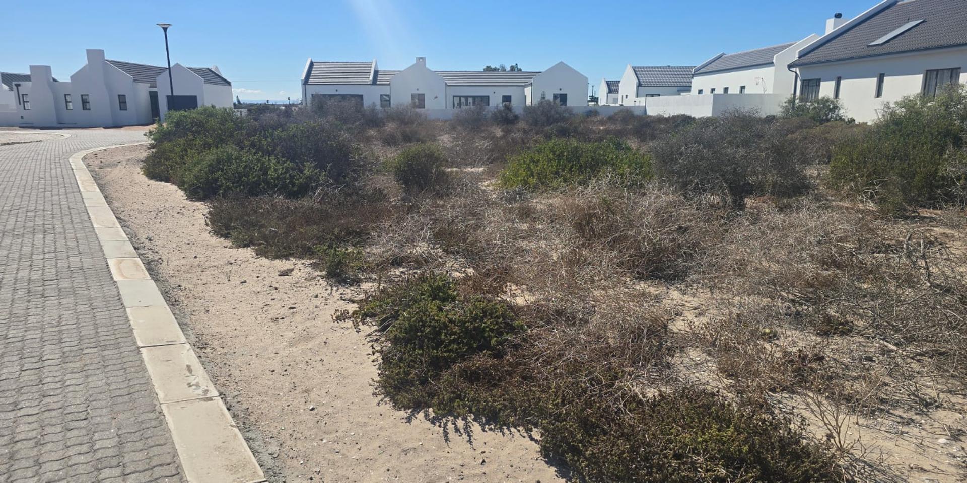 Image 4 of 6