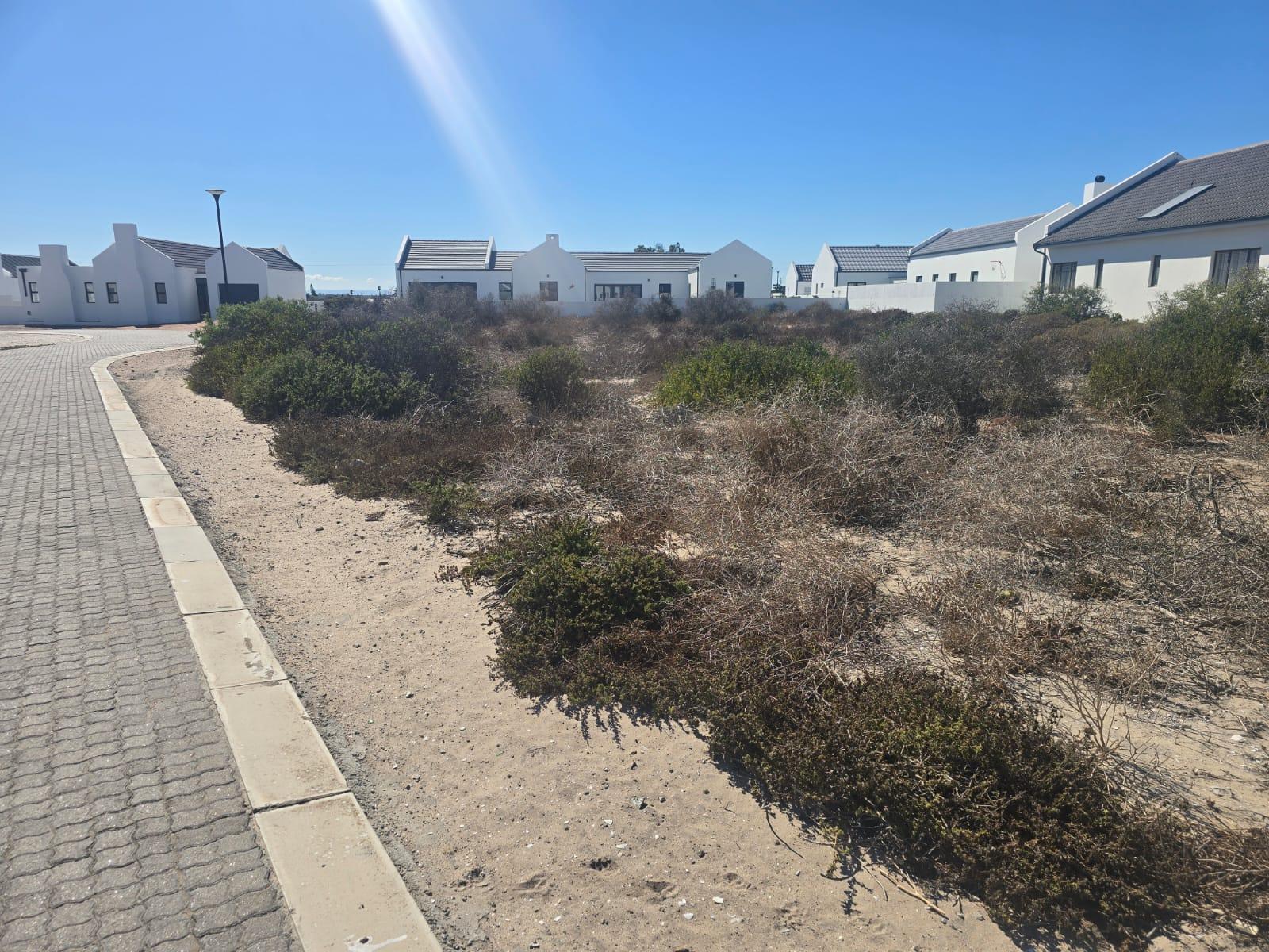 Image 4 of 6