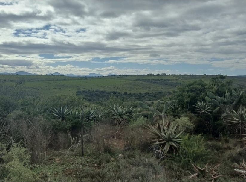 Image 4 of 6