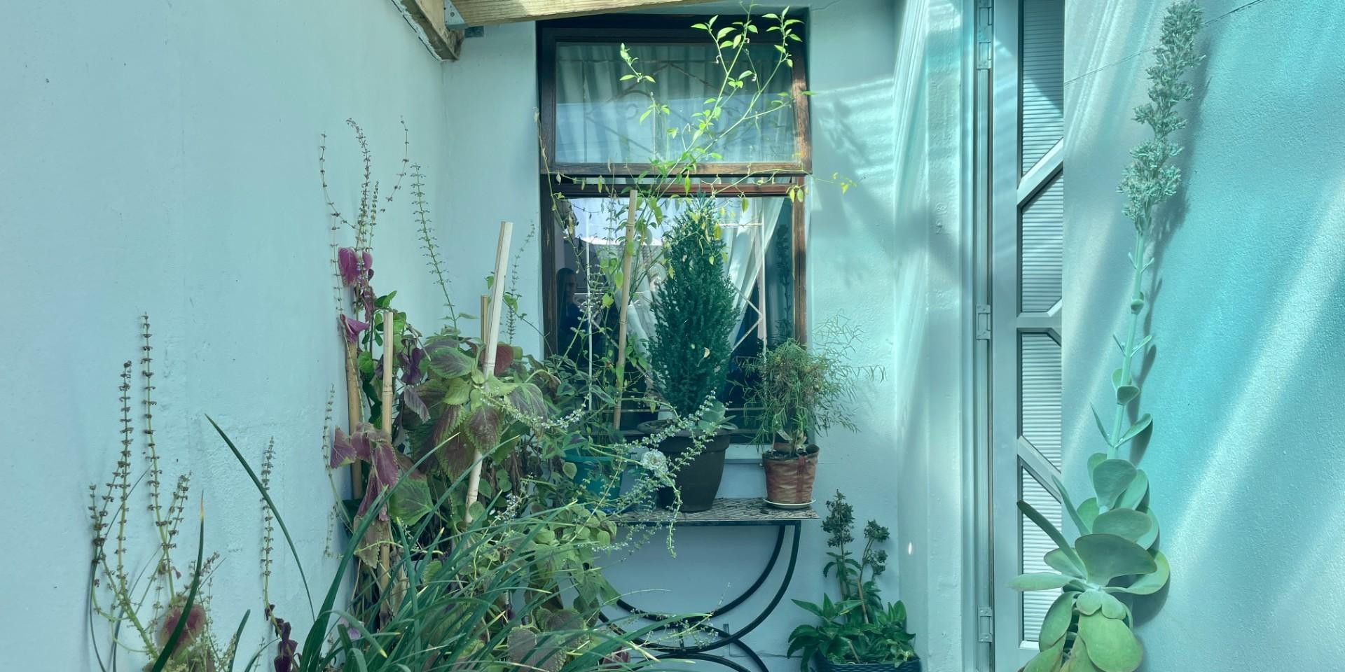 Image 3 of 6