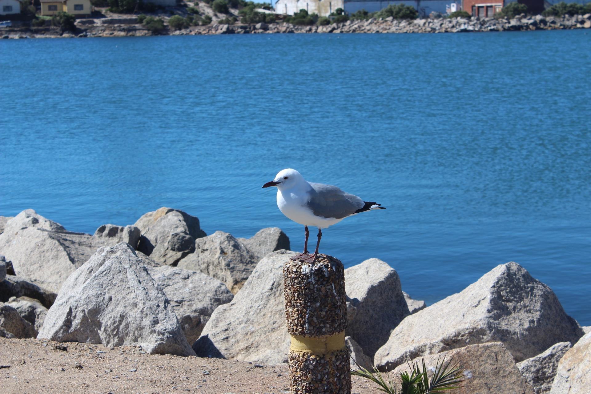 Image 18