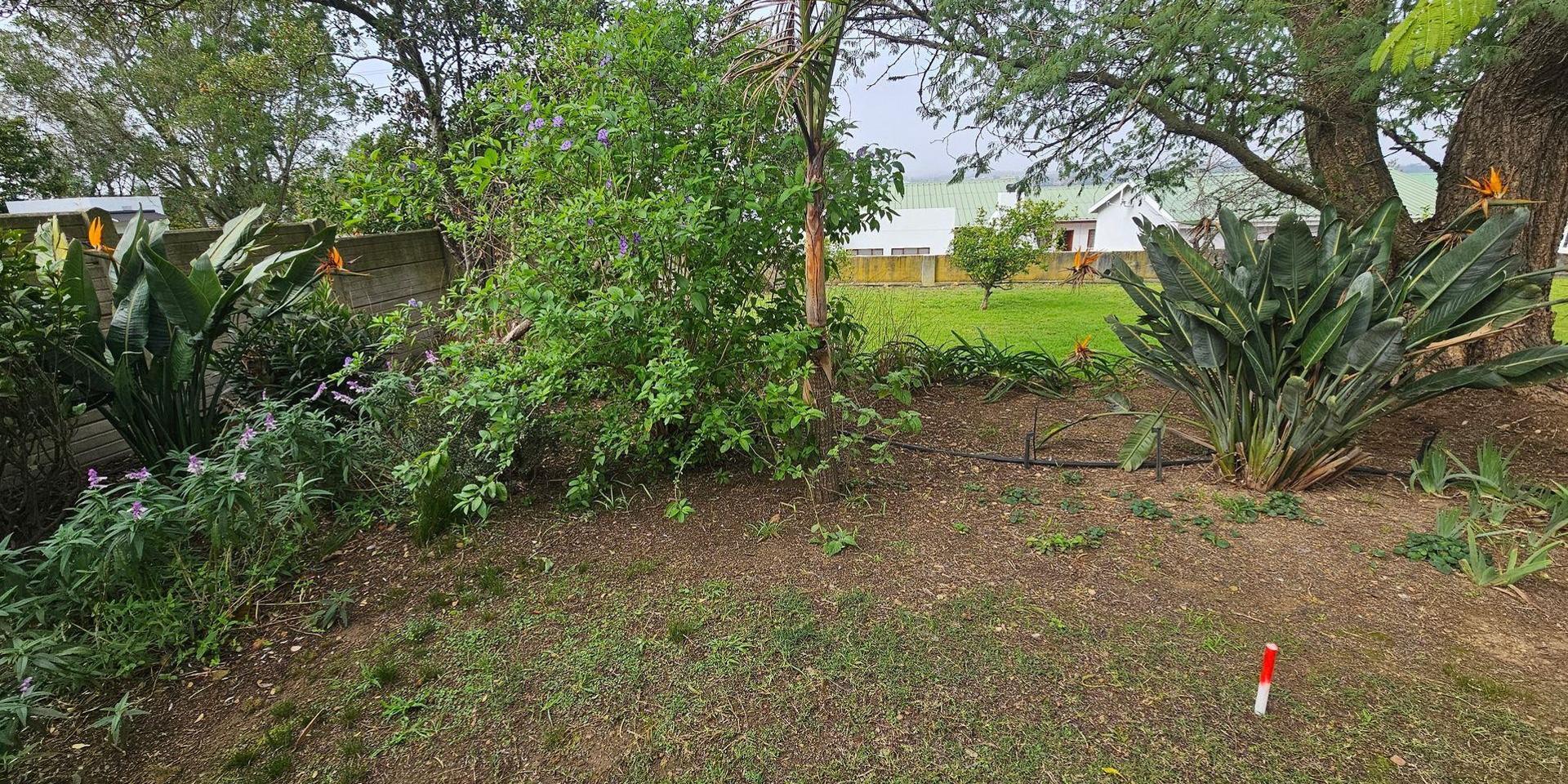 Image 4 of 6