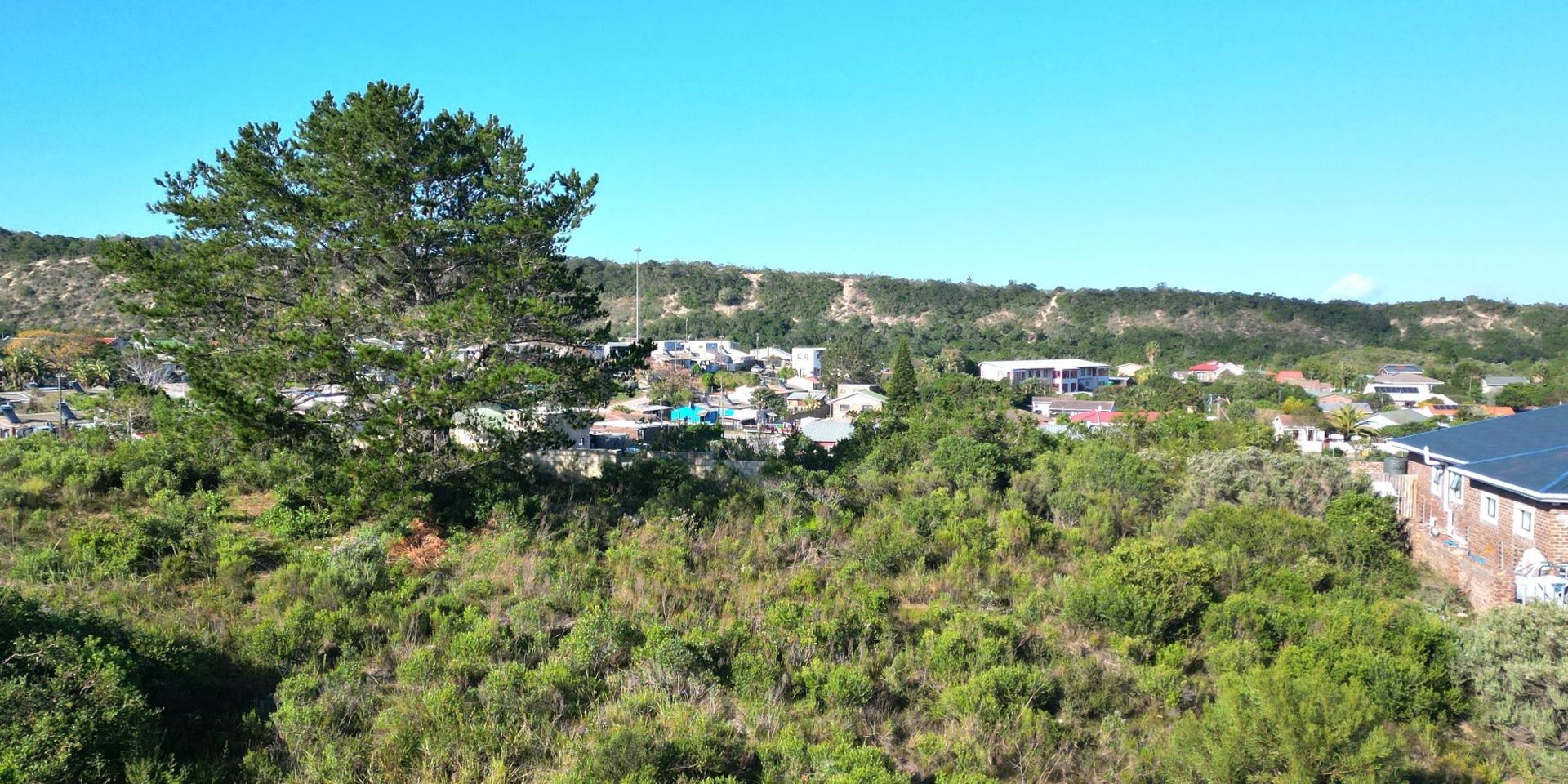 Image 5 of 6