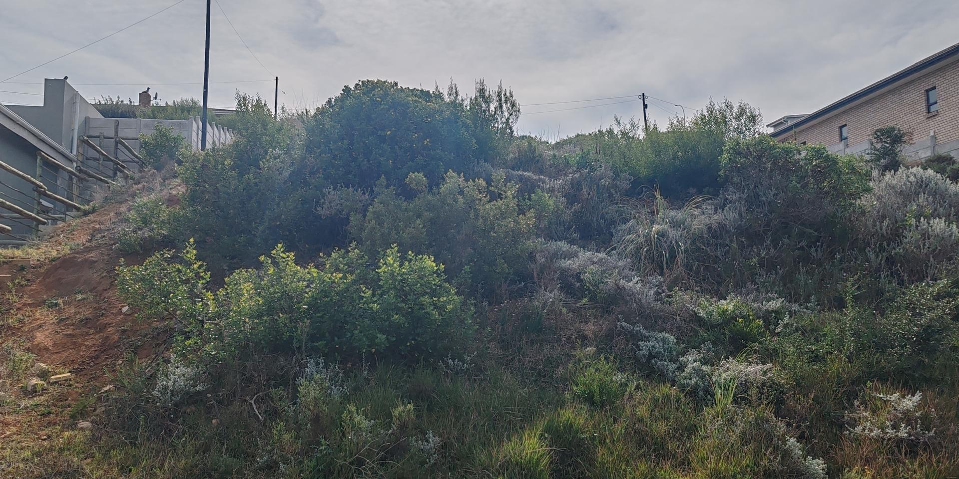 Image 5 of 6